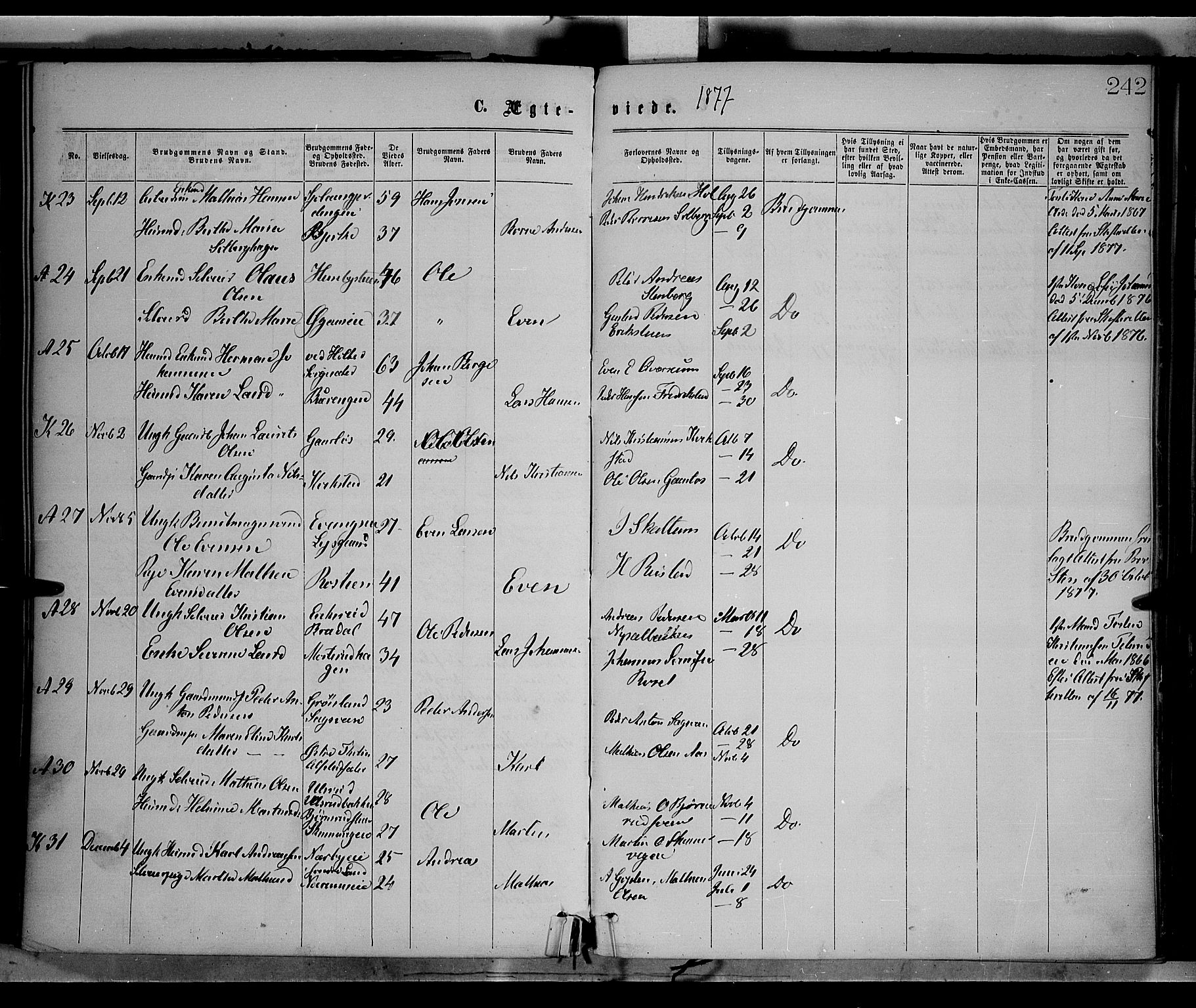 Vestre Toten prestekontor, SAH/PREST-108/H/Ha/Haa/L0008: Parish register (official) no. 8, 1870-1877, p. 242