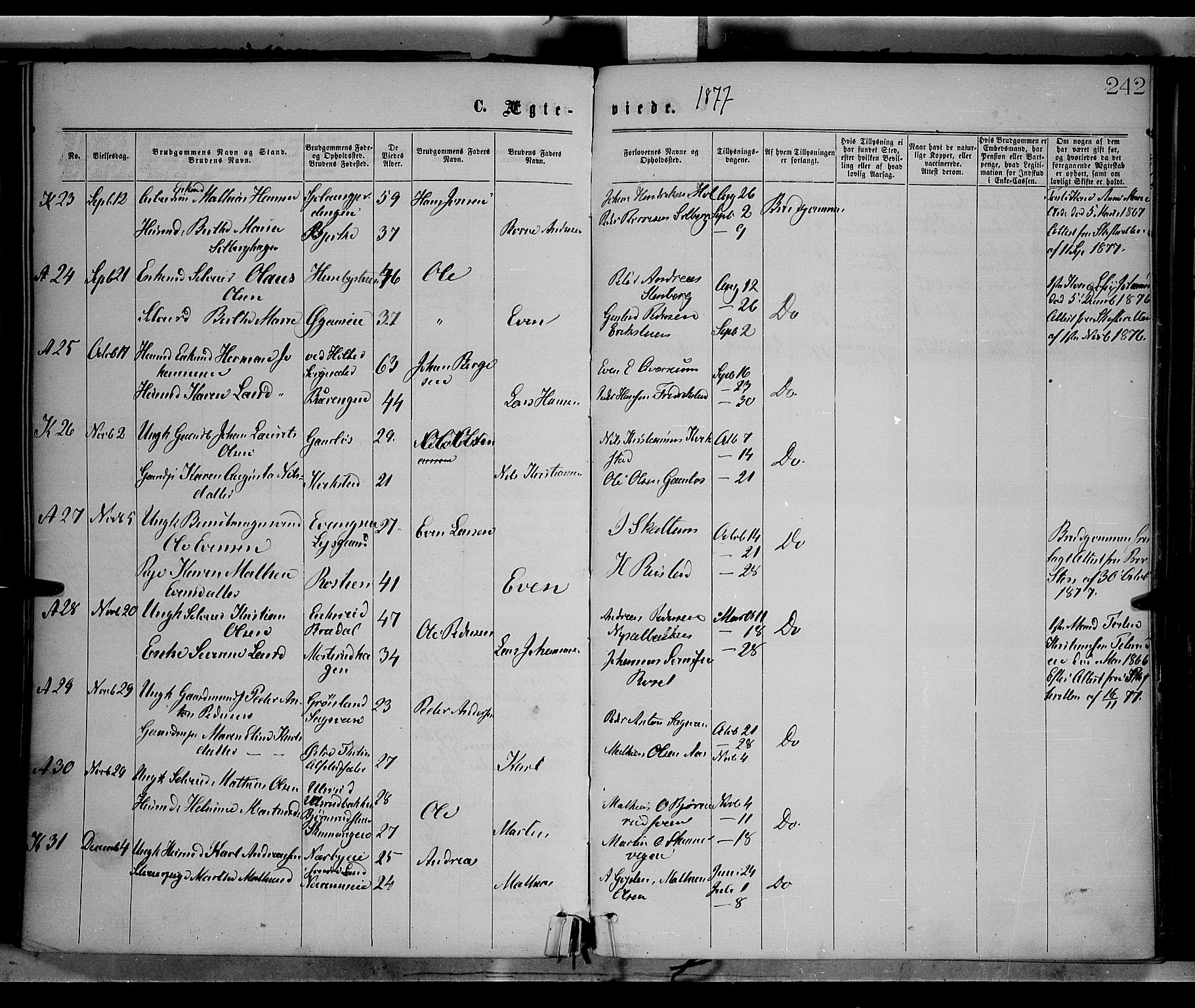 Vestre Toten prestekontor, AV/SAH-PREST-108/H/Ha/Haa/L0008: Parish register (official) no. 8, 1870-1877, p. 242
