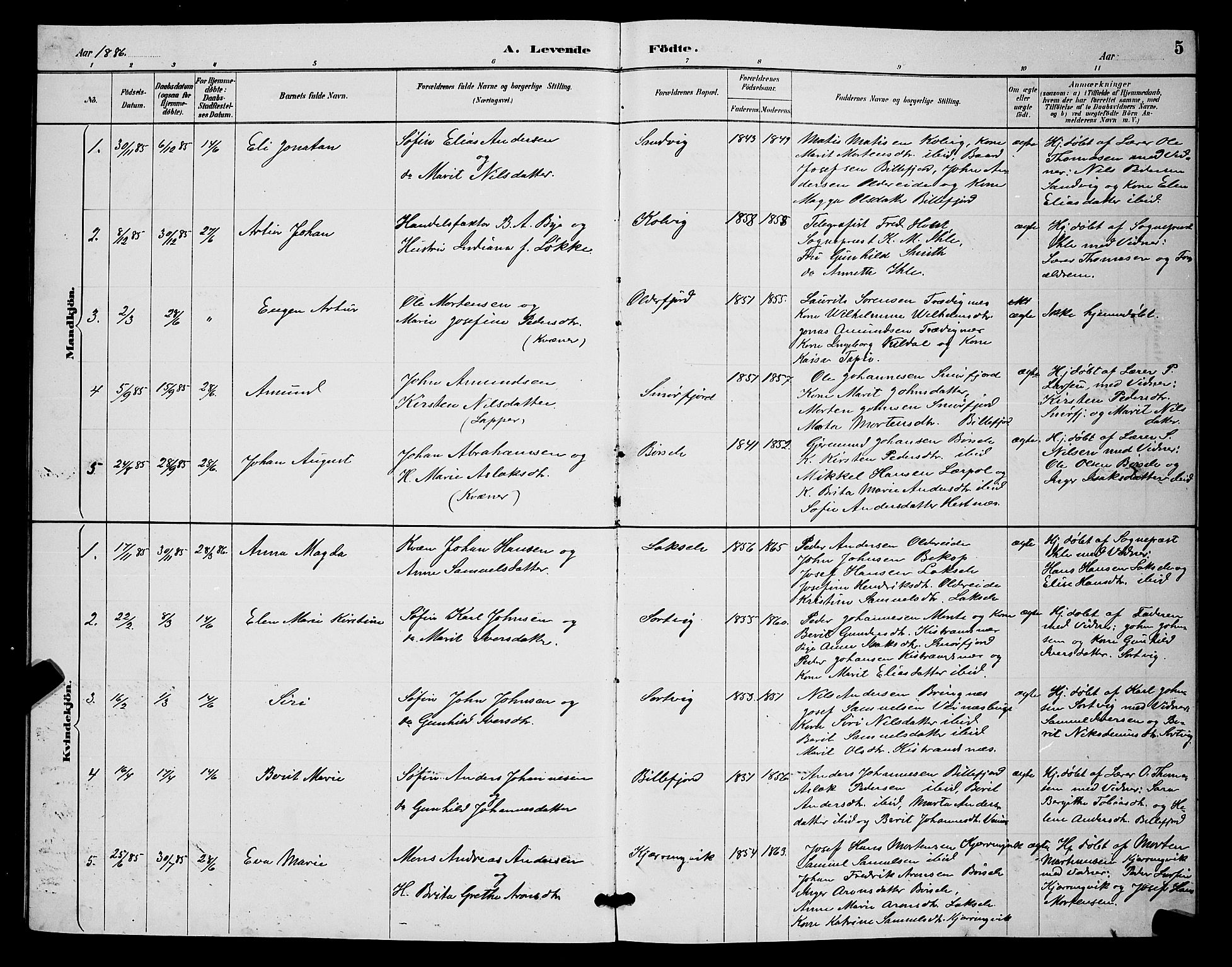 Kistrand/Porsanger sokneprestembete, SATØ/S-1351/H/Hb/L0004.klokk: Parish register (copy) no. 4, 1885-1894, p. 5