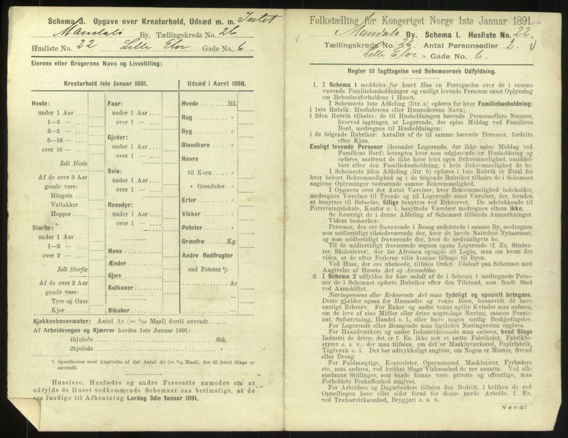 RA, 1891 census for 1002 Mandal, 1891, p. 1191