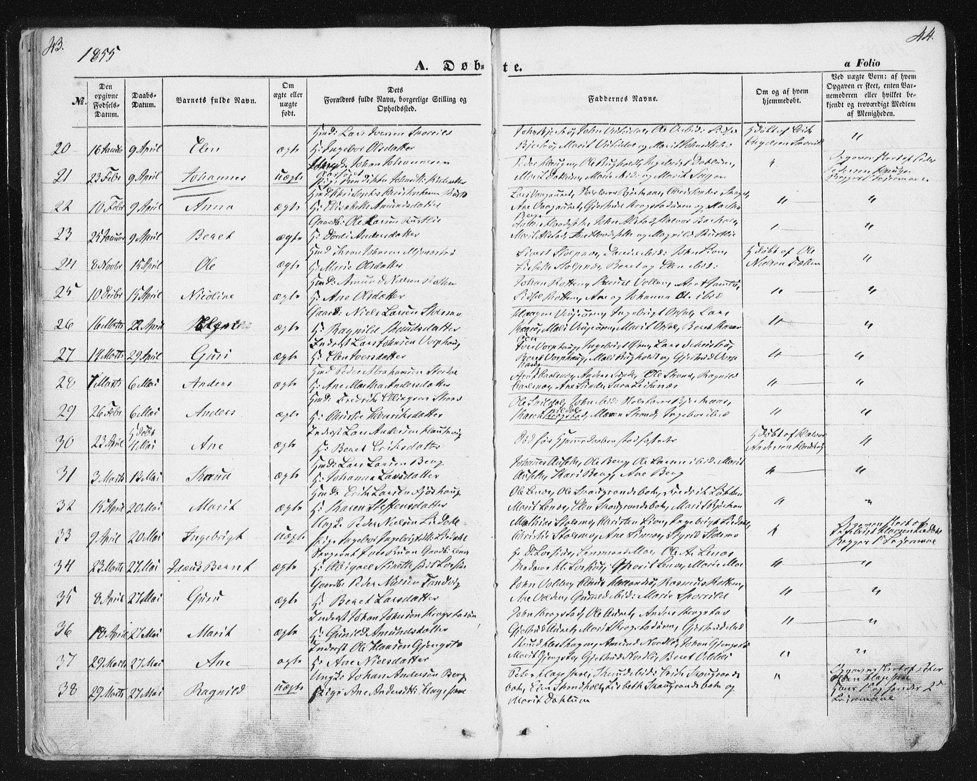 Ministerialprotokoller, klokkerbøker og fødselsregistre - Sør-Trøndelag, AV/SAT-A-1456/630/L0494: Parish register (official) no. 630A07, 1852-1868, p. 43-44