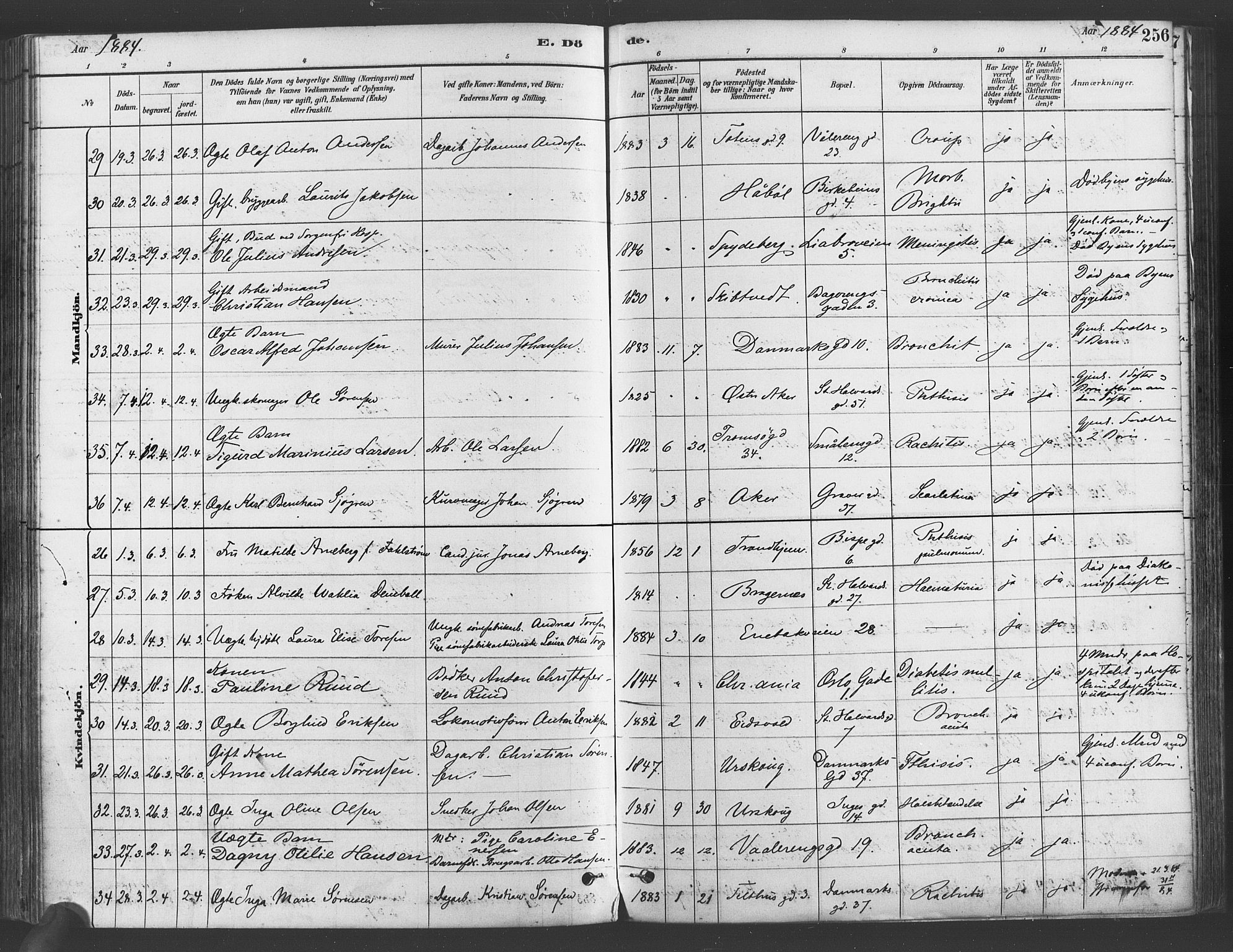 Gamlebyen prestekontor Kirkebøker, SAO/A-10884/F/Fa/L0006: Parish register (official) no. 6, 1881-1890, p. 256