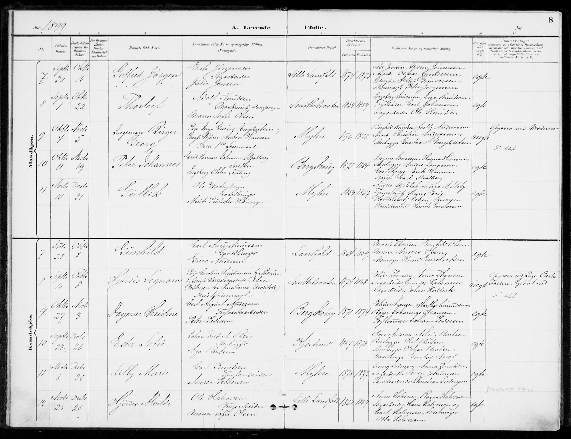 Åssiden kirkebøker, SAKO/A-251/F/Fa/L0002: Parish register (official) no. 2, 1896-1916, p. 8