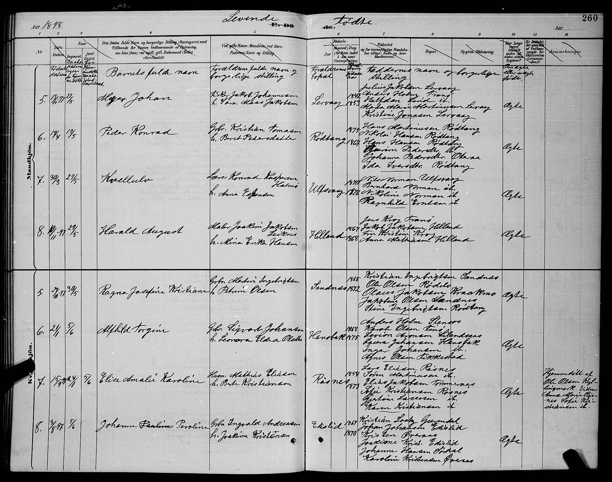 Ministerialprotokoller, klokkerbøker og fødselsregistre - Nordland, SAT/A-1459/859/L0859: Parish register (copy) no. 859C05, 1887-1898, p. 260