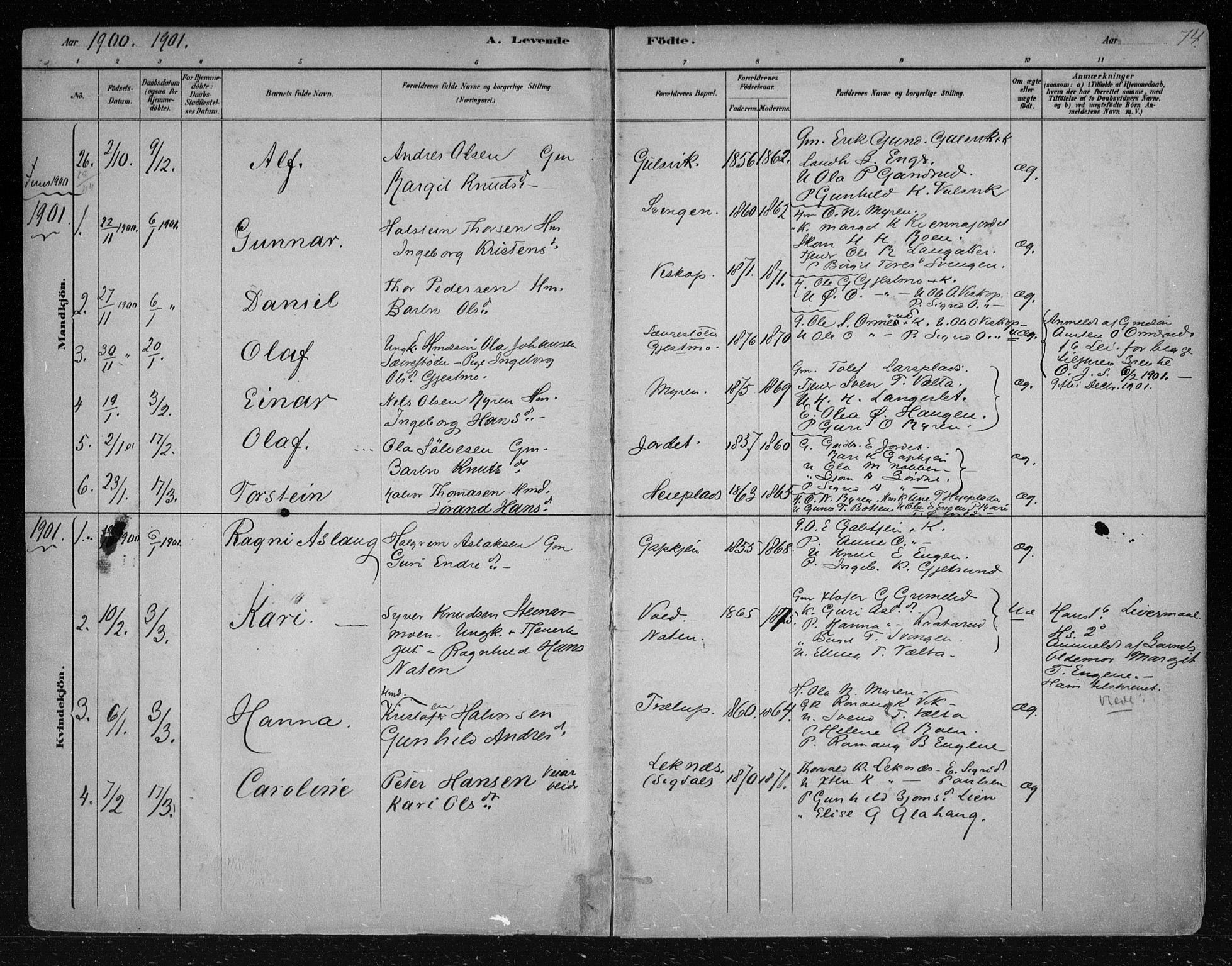 Nes kirkebøker, SAKO/A-236/F/Fa/L0012: Parish register (official) no. 12, 1881-1917, p. 74