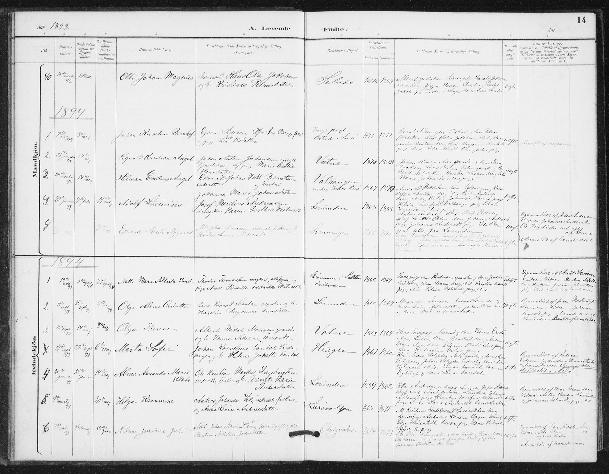 Ministerialprotokoller, klokkerbøker og fødselsregistre - Nordland, SAT/A-1459/839/L0573: Parish register (copy) no. 839C03, 1892-1917, p. 14