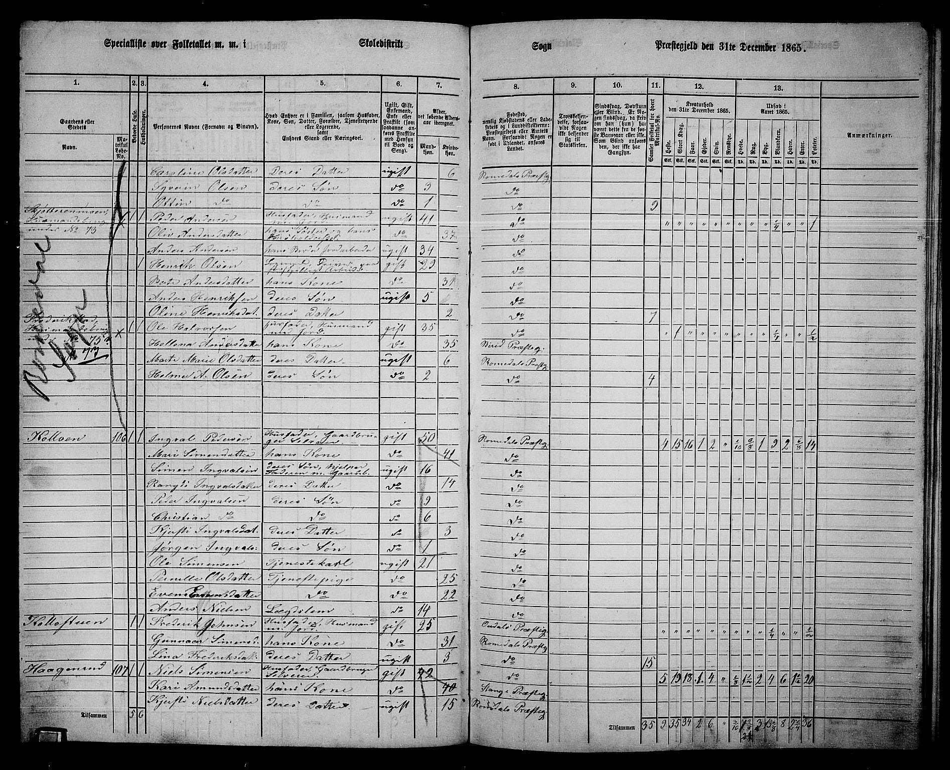 RA, 1865 census for Romedal, 1865, p. 166