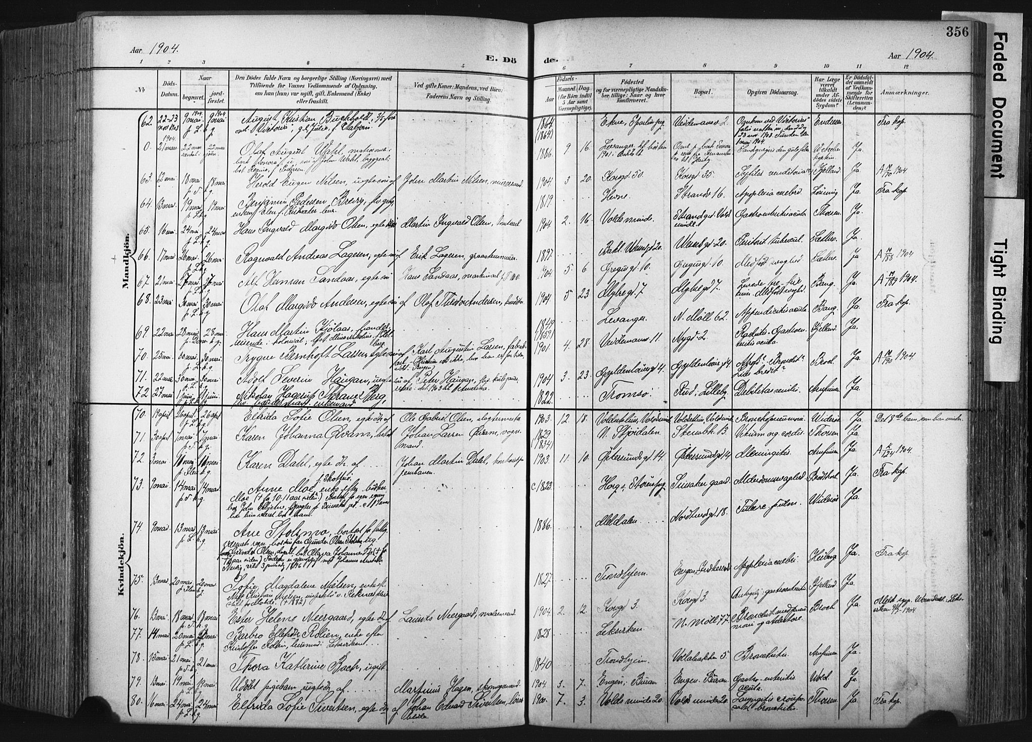 Ministerialprotokoller, klokkerbøker og fødselsregistre - Sør-Trøndelag, SAT/A-1456/604/L0201: Parish register (official) no. 604A21, 1901-1911, p. 356