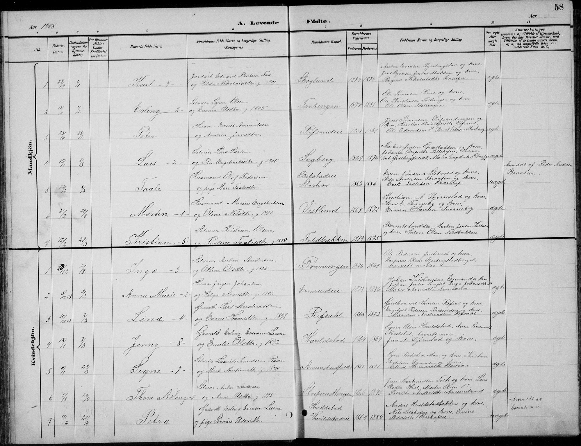 Romedal prestekontor, AV/SAH-PREST-004/L/L0013: Parish register (copy) no. 13, 1896-1937, p. 58