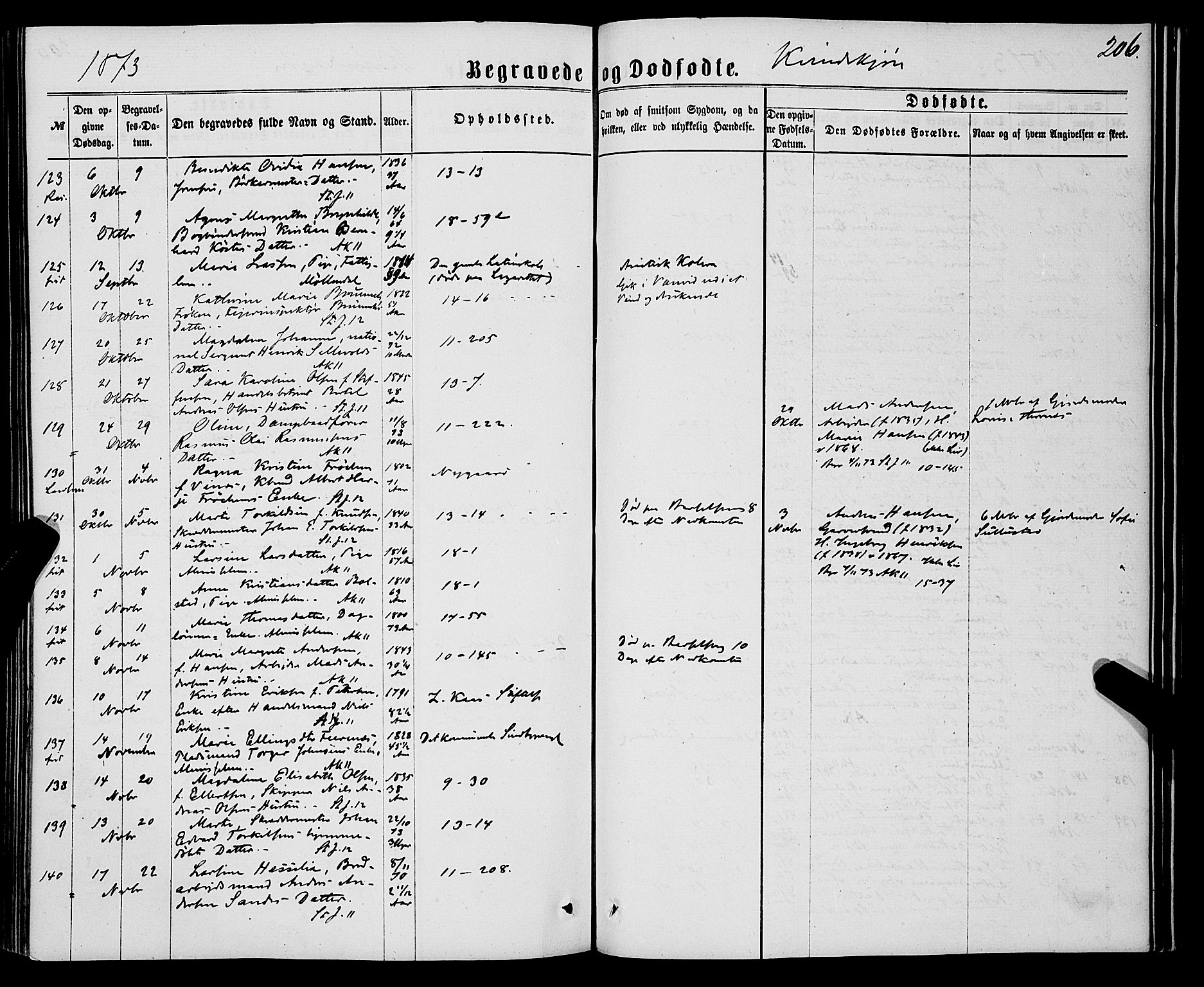 Domkirken sokneprestembete, AV/SAB-A-74801/H/Haa/L0042: Parish register (official) no. E 3, 1863-1876, p. 206