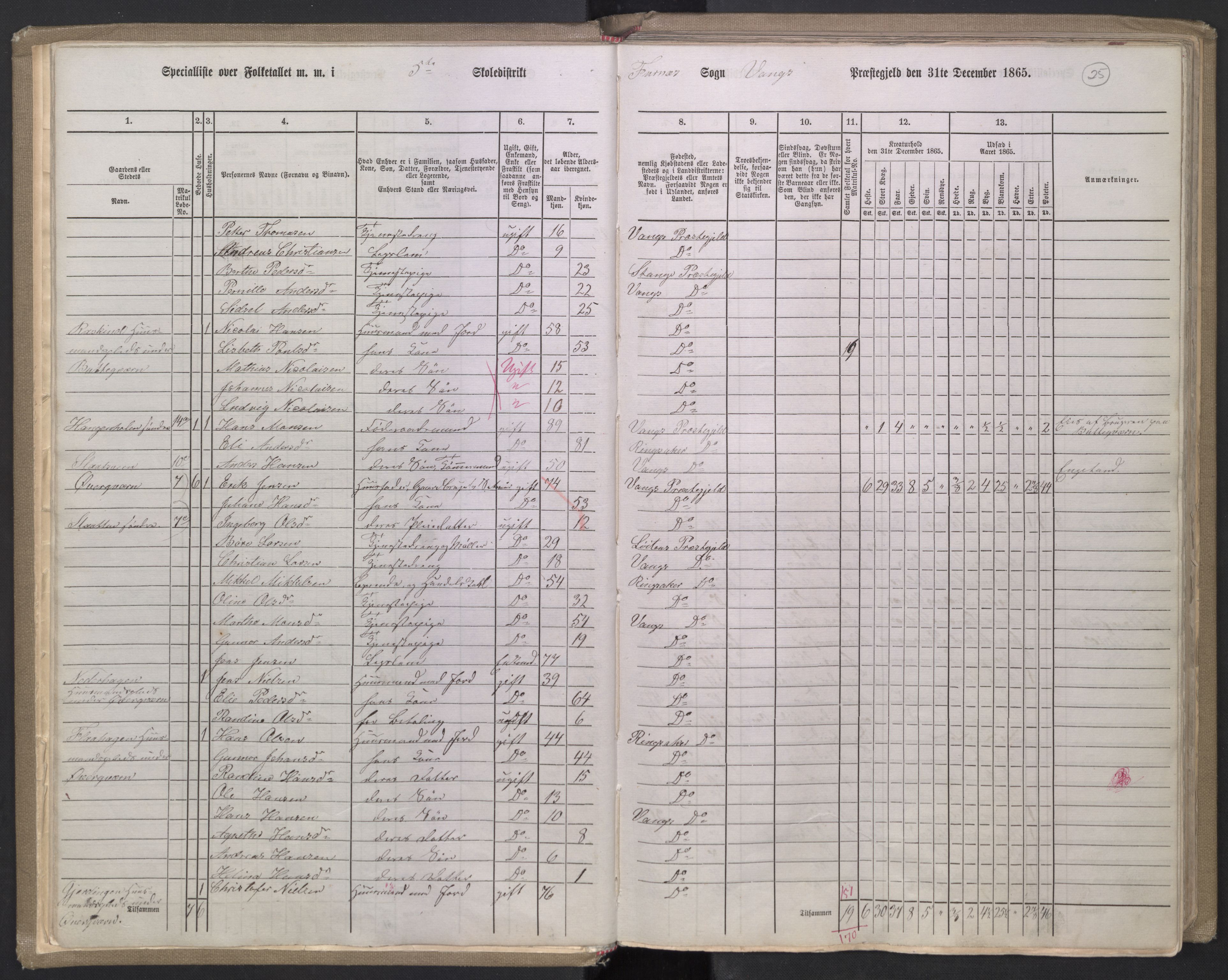 RA, 1865 census for Vang/Vang og Furnes, 1865, p. 20