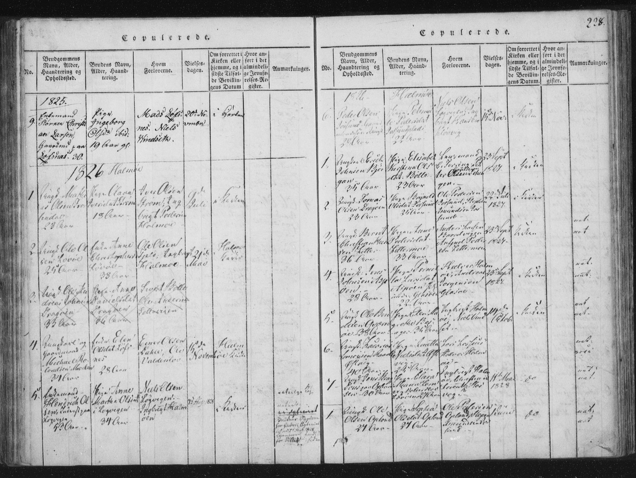 Ministerialprotokoller, klokkerbøker og fødselsregistre - Nord-Trøndelag, SAT/A-1458/773/L0609: Parish register (official) no. 773A03 /3, 1815-1830, p. 228