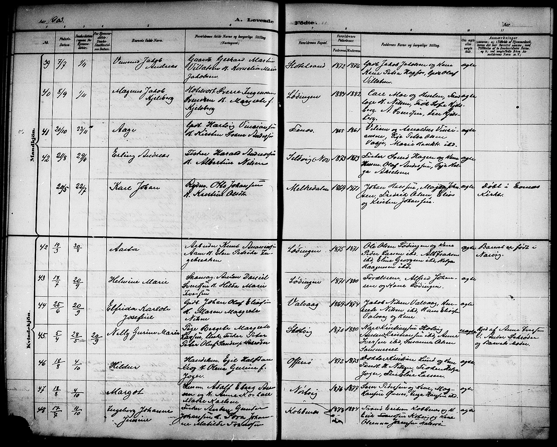 Ministerialprotokoller, klokkerbøker og fødselsregistre - Nordland, AV/SAT-A-1459/872/L1048: Parish register (copy) no. 872C04, 1898-1919