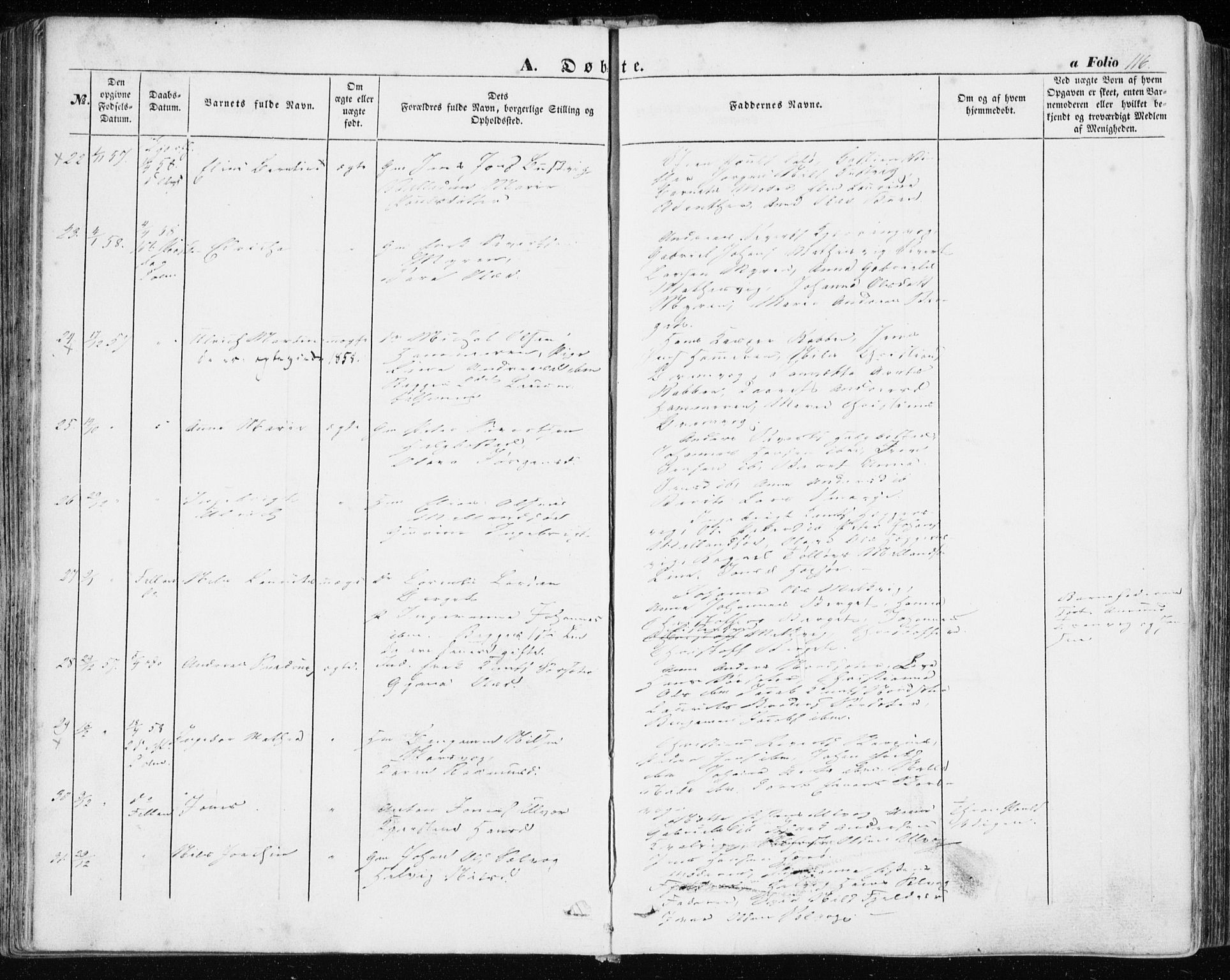 Ministerialprotokoller, klokkerbøker og fødselsregistre - Sør-Trøndelag, SAT/A-1456/634/L0530: Parish register (official) no. 634A06, 1852-1860, p. 116