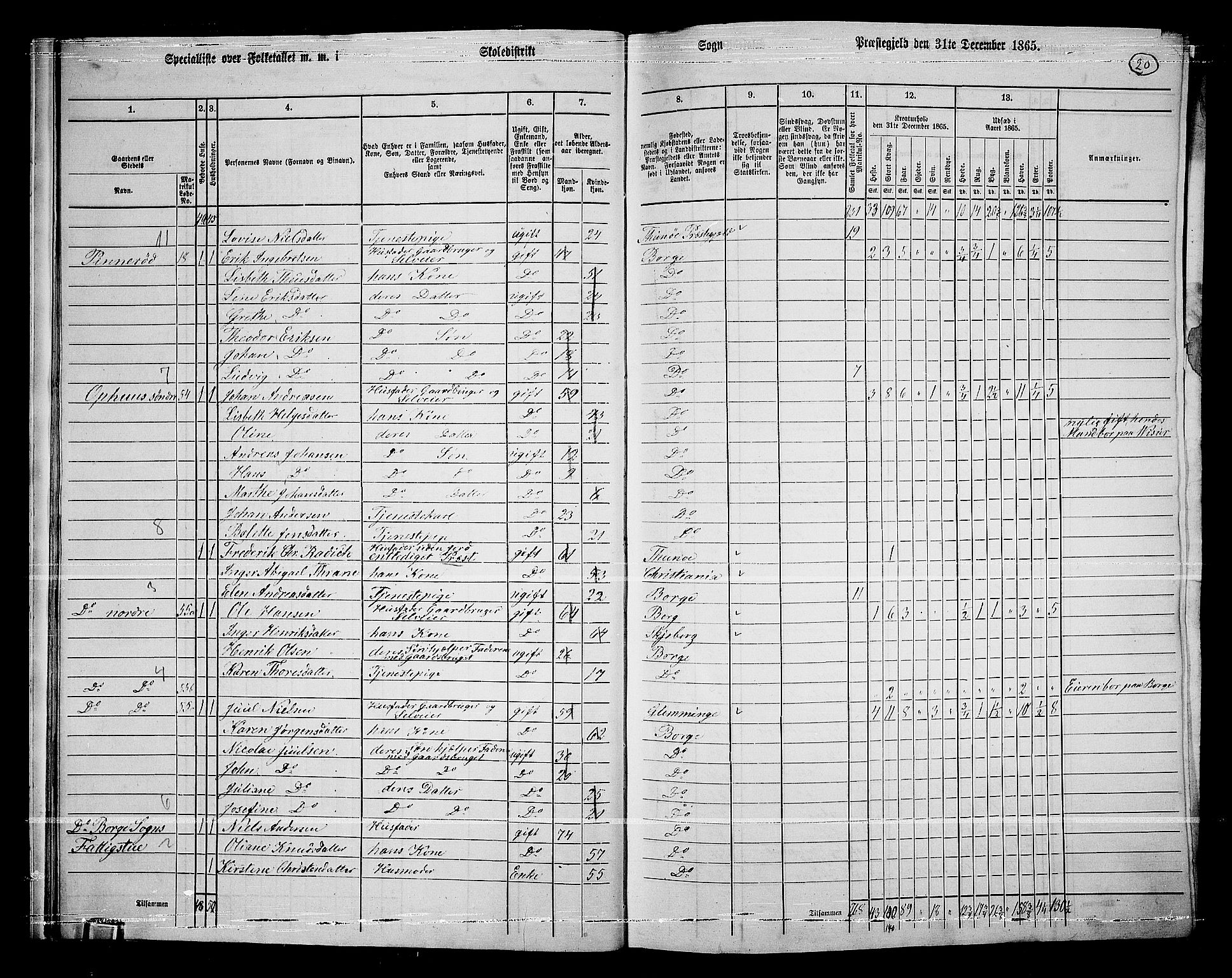 RA, 1865 census for Borge, 1865, p. 20