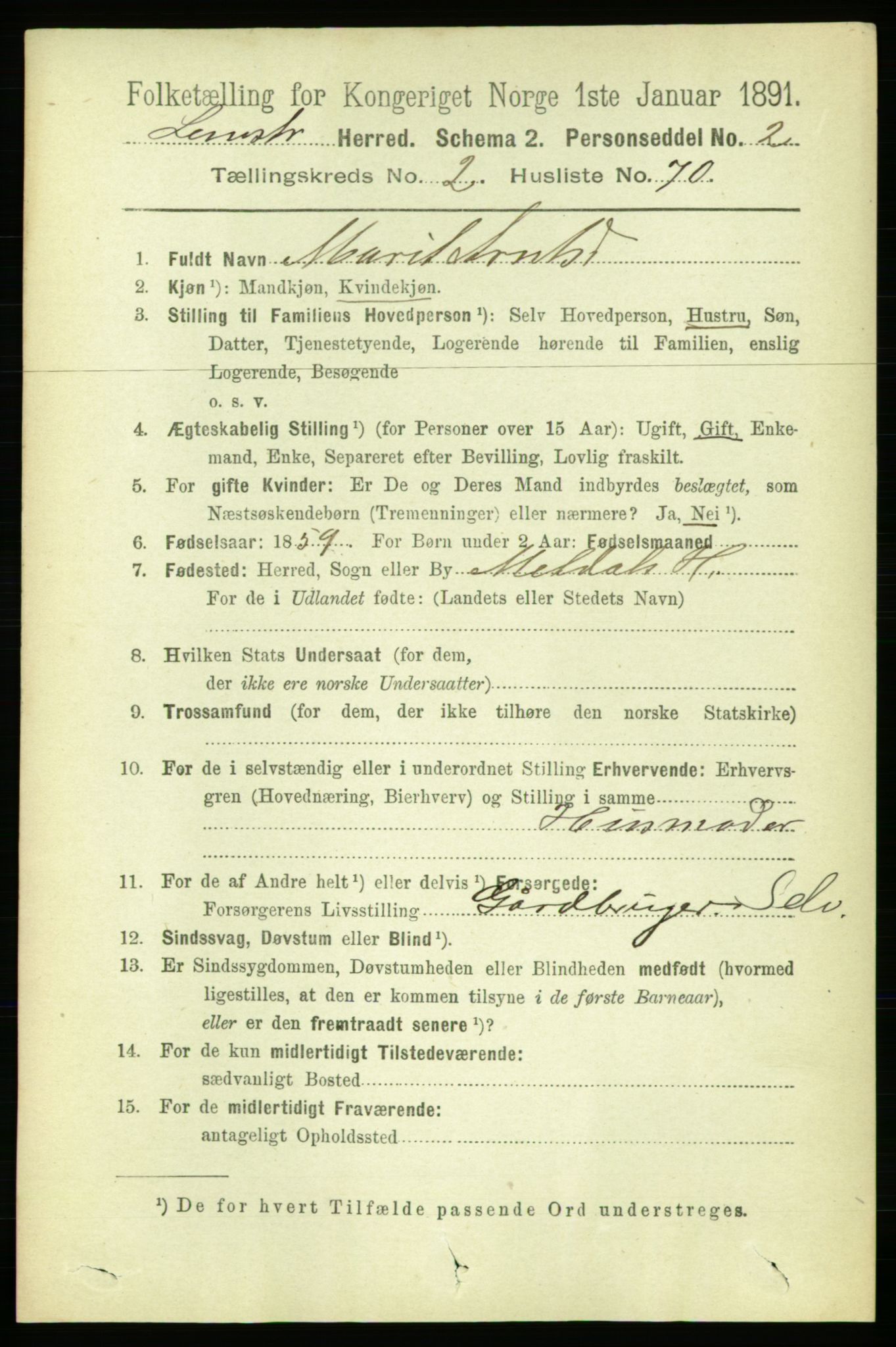 RA, 1891 census for 1654 Leinstrand, 1891, p. 918