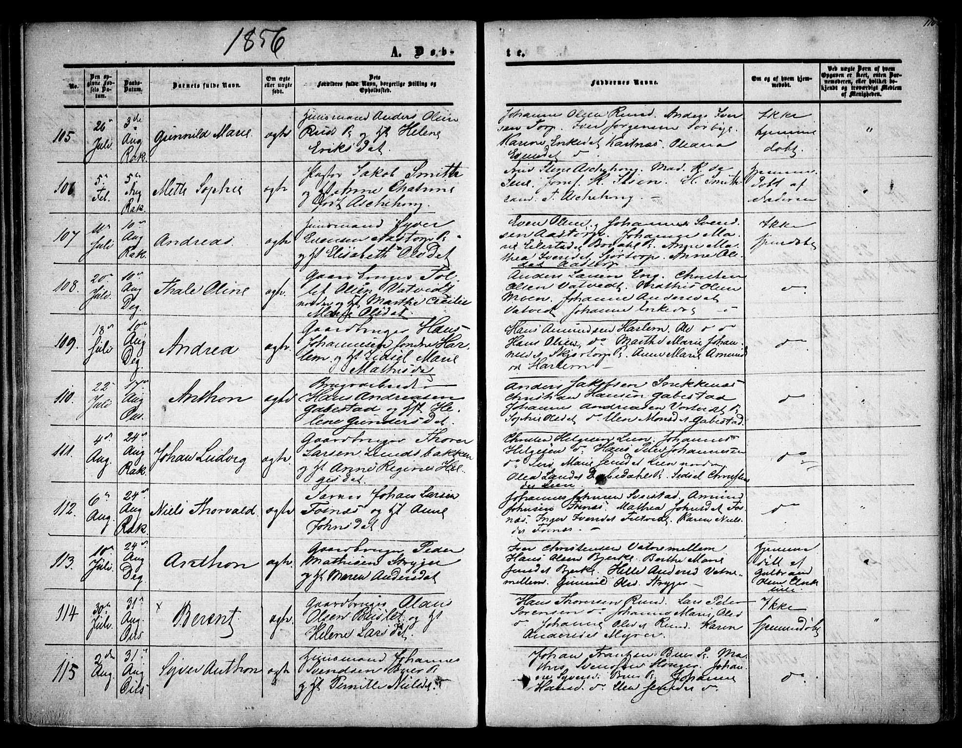 Rakkestad prestekontor Kirkebøker, AV/SAO-A-2008/F/Fa/L0009: Parish register (official) no. I 9, 1850-1856, p. 116