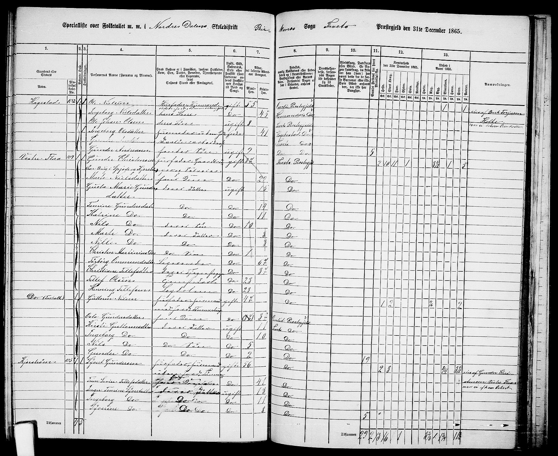 RA, 1865 census for Tveit, 1865, p. 124