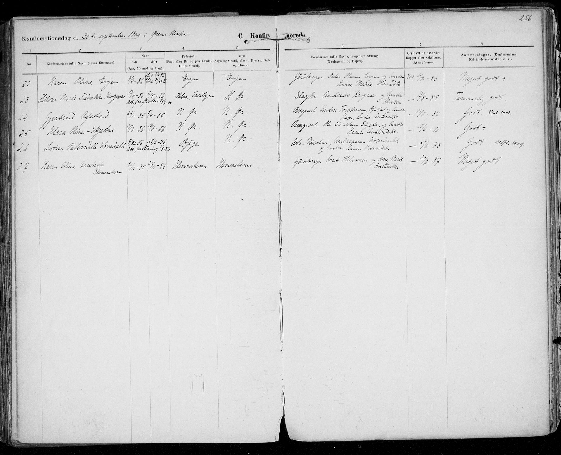 Ministerialprotokoller, klokkerbøker og fødselsregistre - Sør-Trøndelag, SAT/A-1456/668/L0811: Parish register (official) no. 668A11, 1894-1913, p. 256