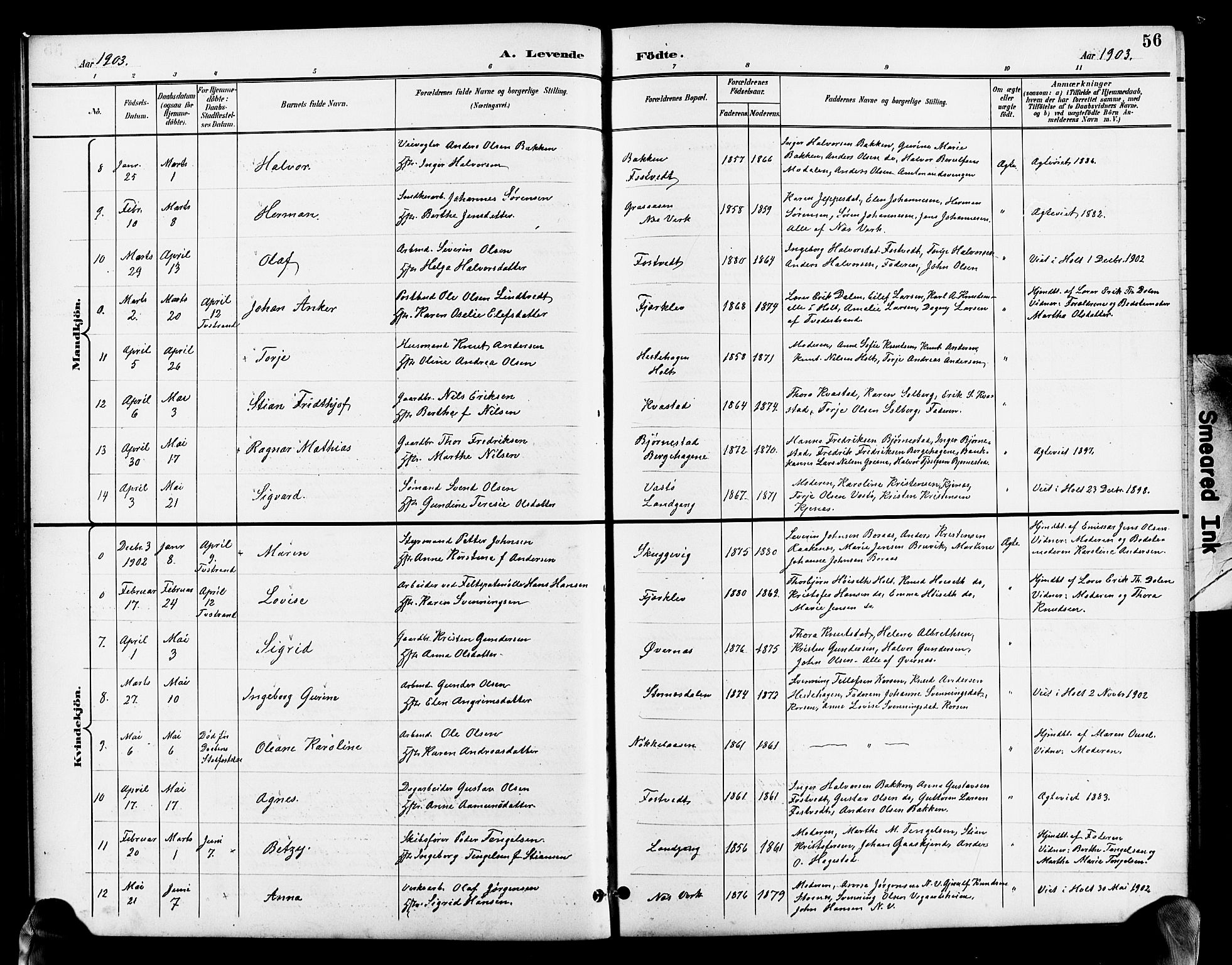 Holt sokneprestkontor, SAK/1111-0021/F/Fb/L0011: Parish register (copy) no. B 11, 1897-1921, p. 56
