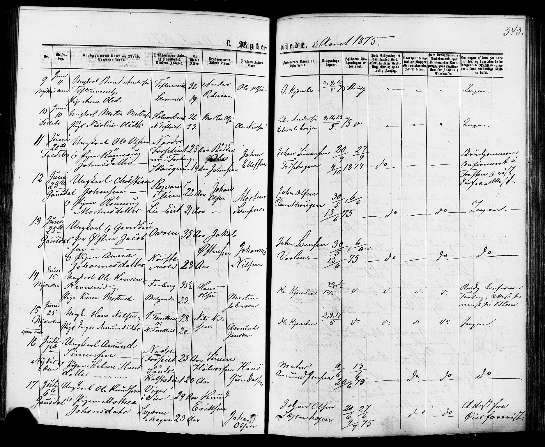 Østre Gausdal prestekontor, SAH/PREST-092/H/Ha/Haa/L0001: Parish register (official) no. 1, 1874-1886, p. 343