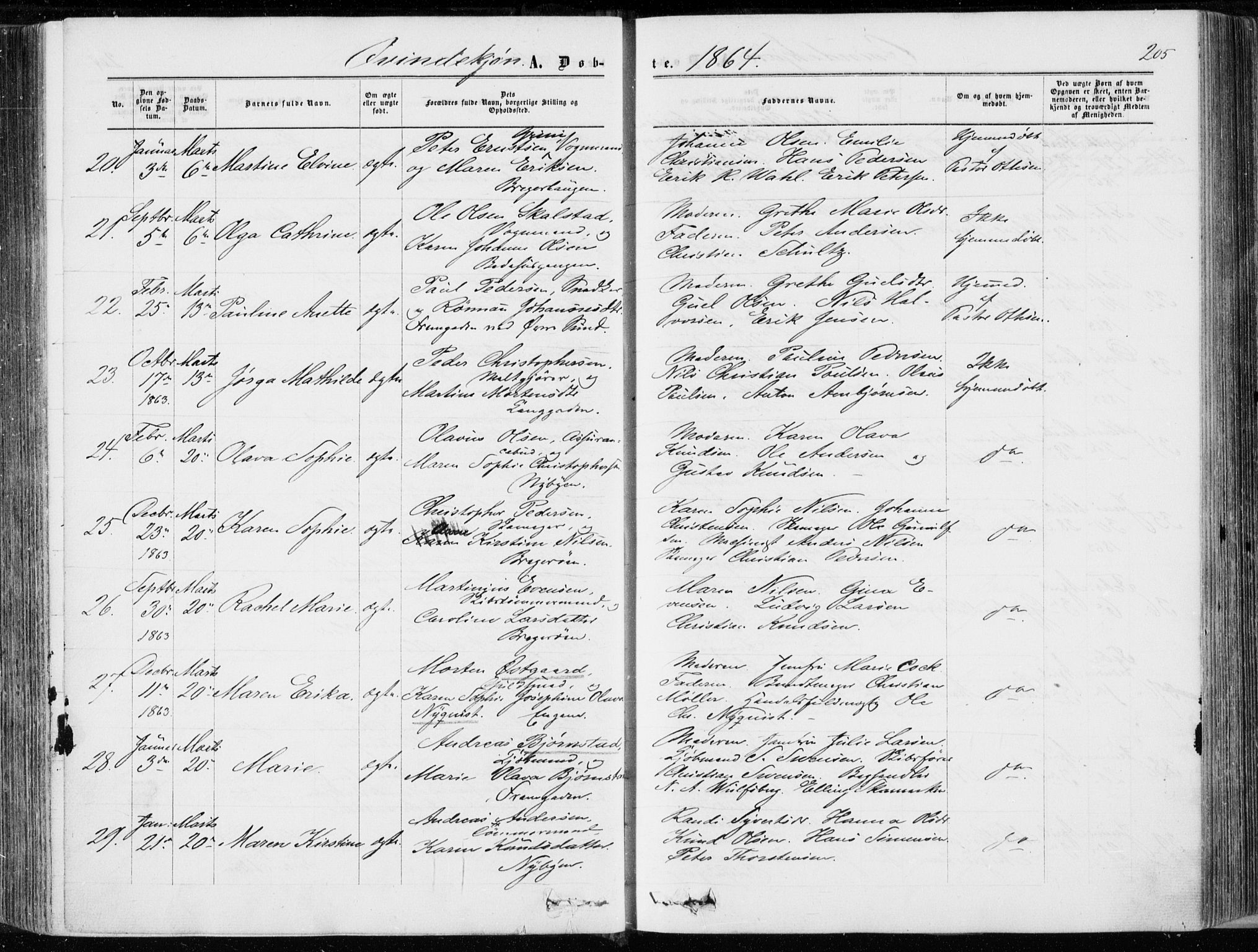 Bragernes kirkebøker, AV/SAKO-A-6/F/Fb/L0003: Parish register (official) no. II 3, 1860-1868, p. 205