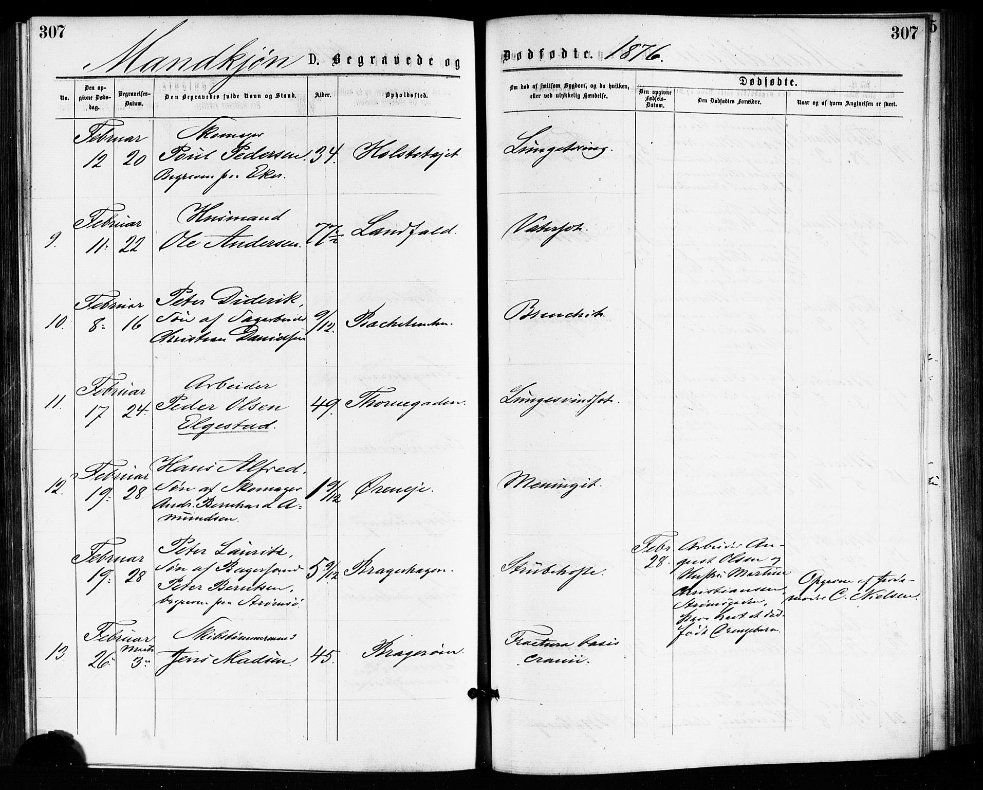 Bragernes kirkebøker, AV/SAKO-A-6/F/Fb/L0005: Parish register (official) no. II 5, 1875-1877, p. 307