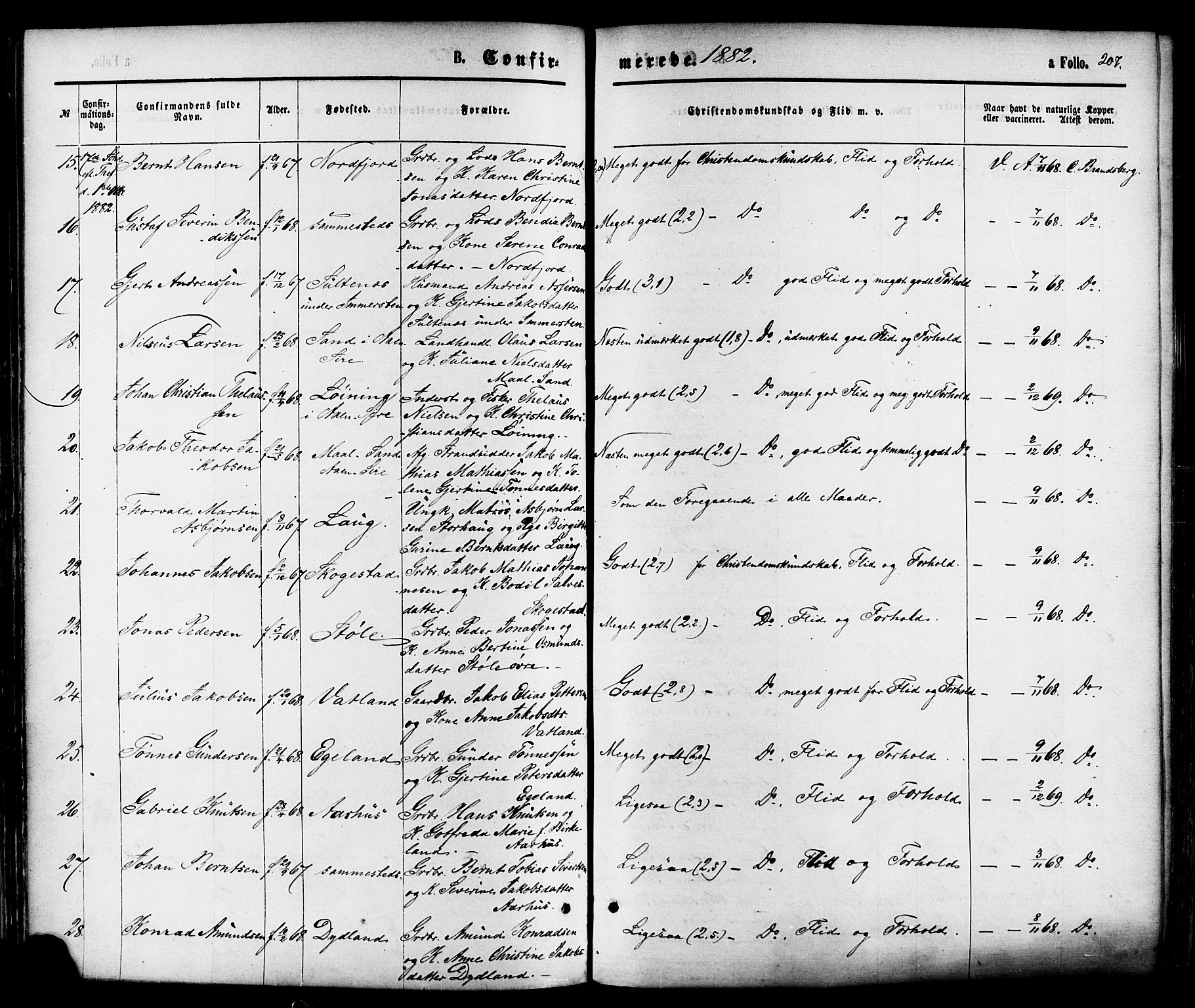 Sokndal sokneprestkontor, AV/SAST-A-101808: Parish register (official) no. A 10, 1874-1886, p. 207