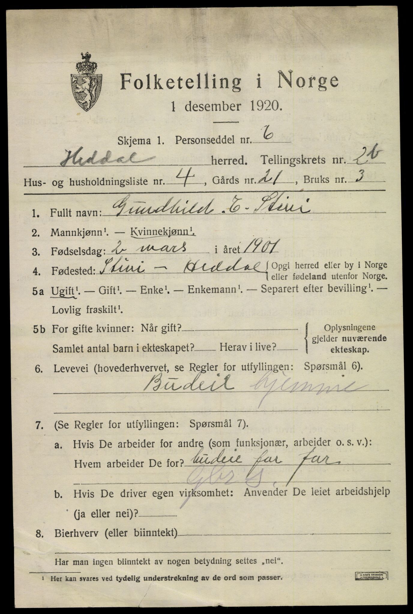 SAKO, 1920 census for Heddal, 1920, p. 3008