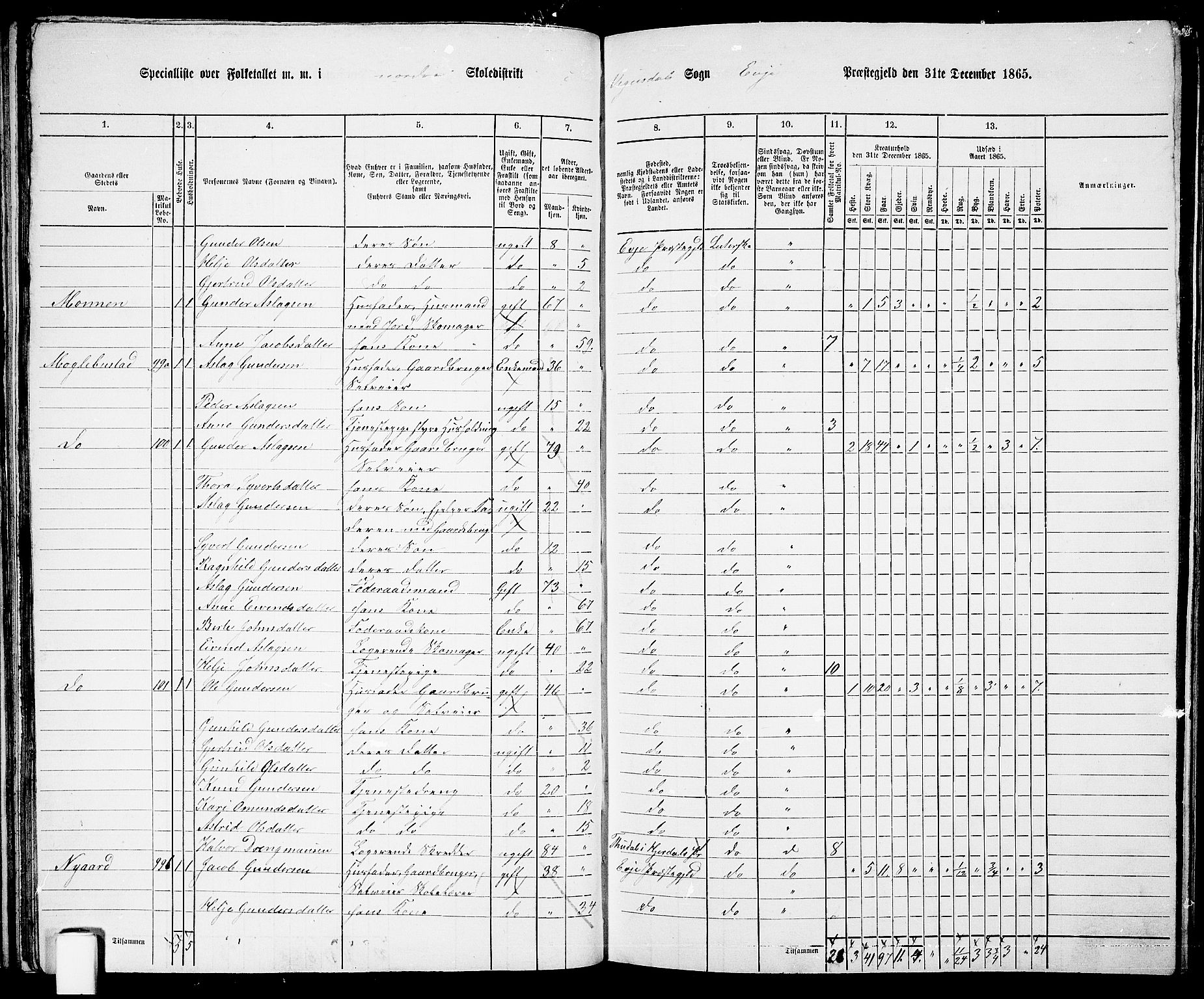 RA, 1865 census for Evje, 1865, p. 45