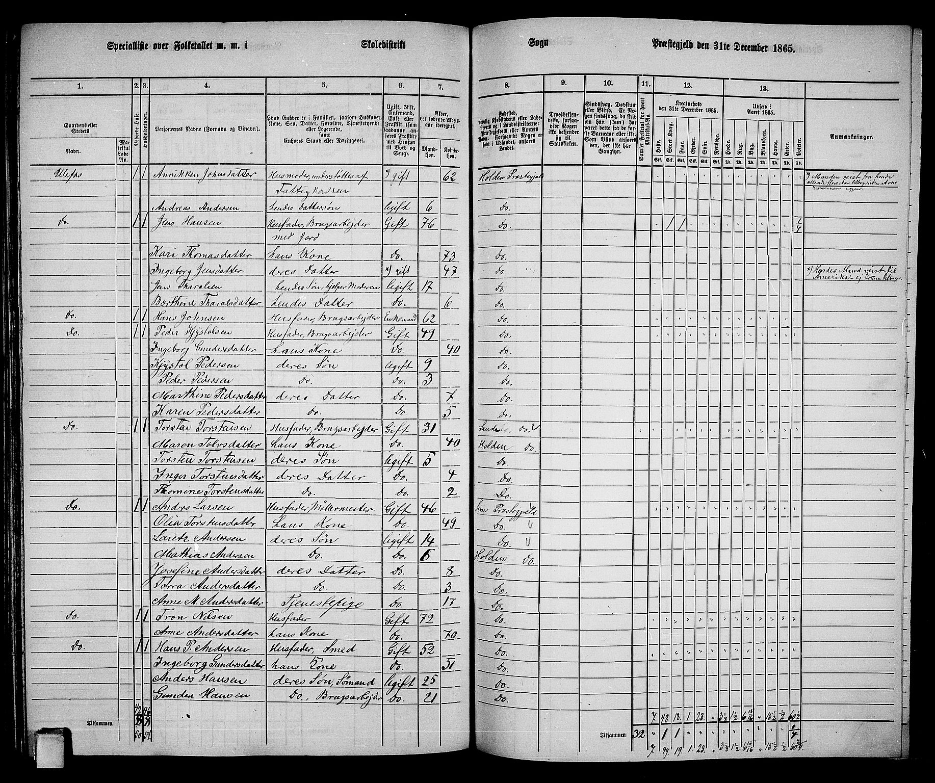 RA, 1865 census for Holla, 1865, p. 140