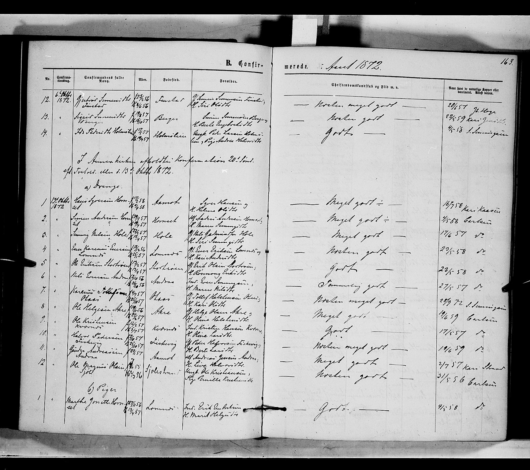 Rendalen prestekontor, AV/SAH-PREST-054/H/Ha/Haa/L0006: Parish register (official) no. 6, 1867-1877, p. 163