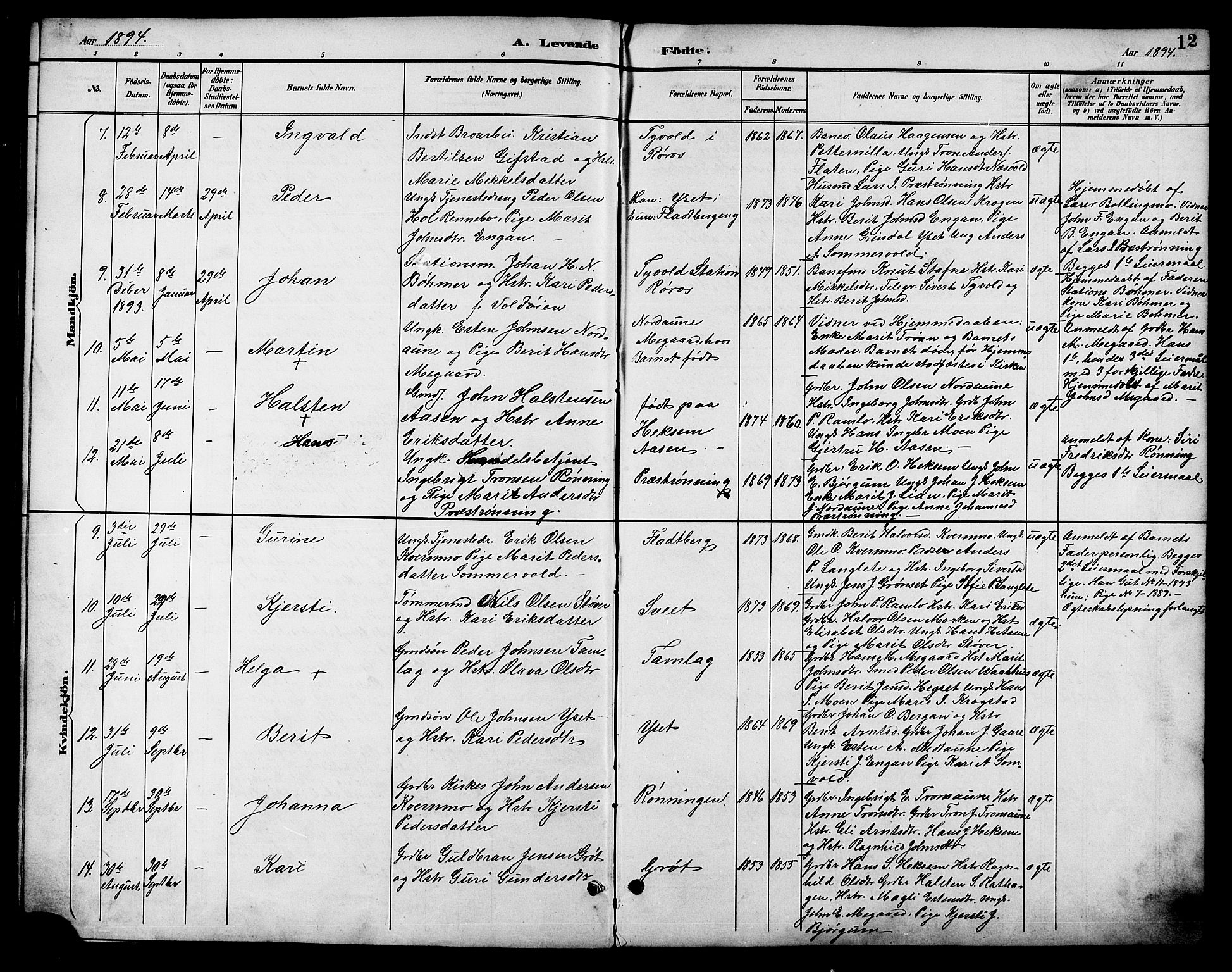 Ministerialprotokoller, klokkerbøker og fødselsregistre - Sør-Trøndelag, SAT/A-1456/685/L0978: Parish register (copy) no. 685C03, 1891-1907, p. 12