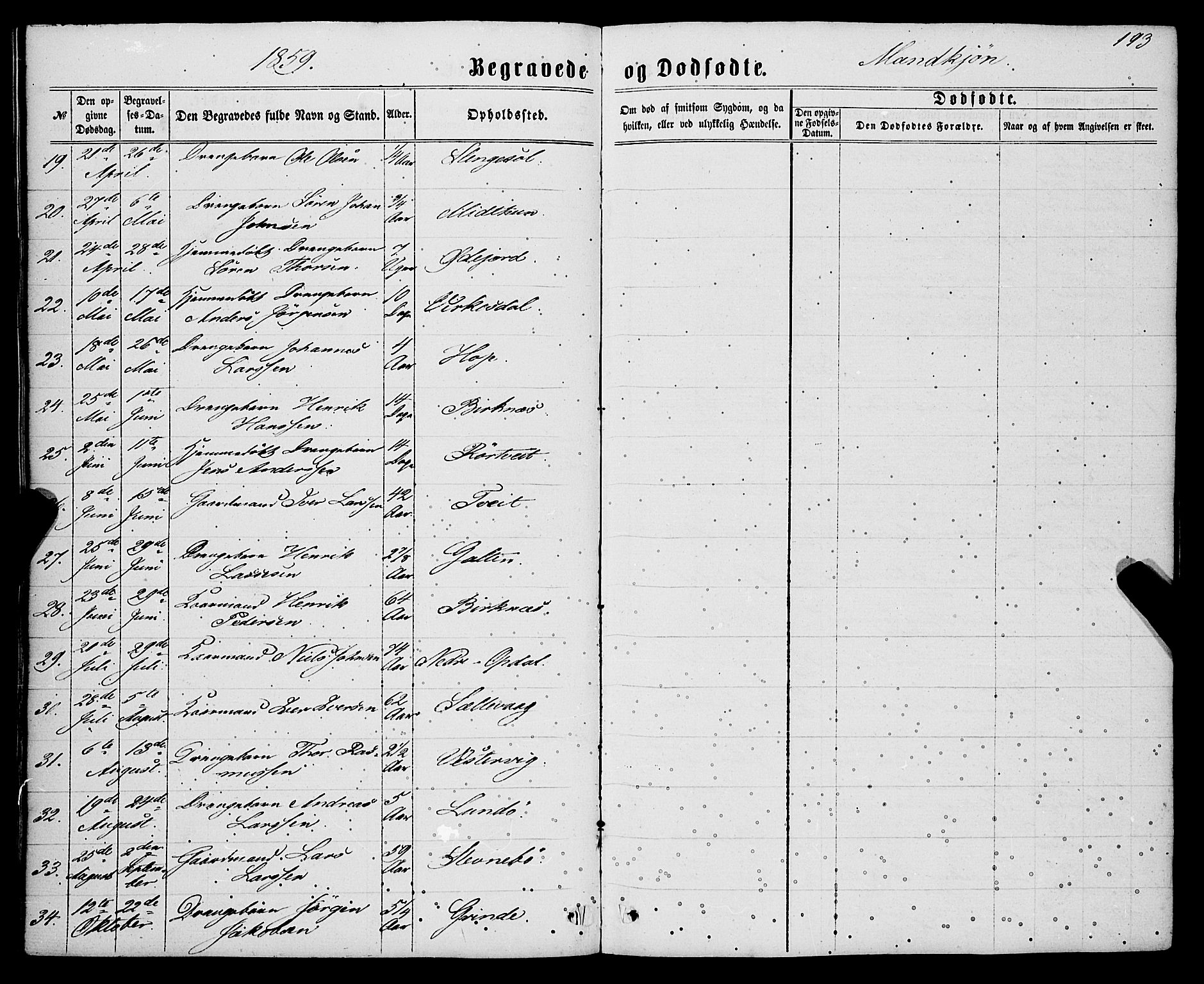 Gulen sokneprestembete, AV/SAB-A-80201/H/Haa/Haaa/L0022: Parish register (official) no. A 22, 1859-1869, p. 193