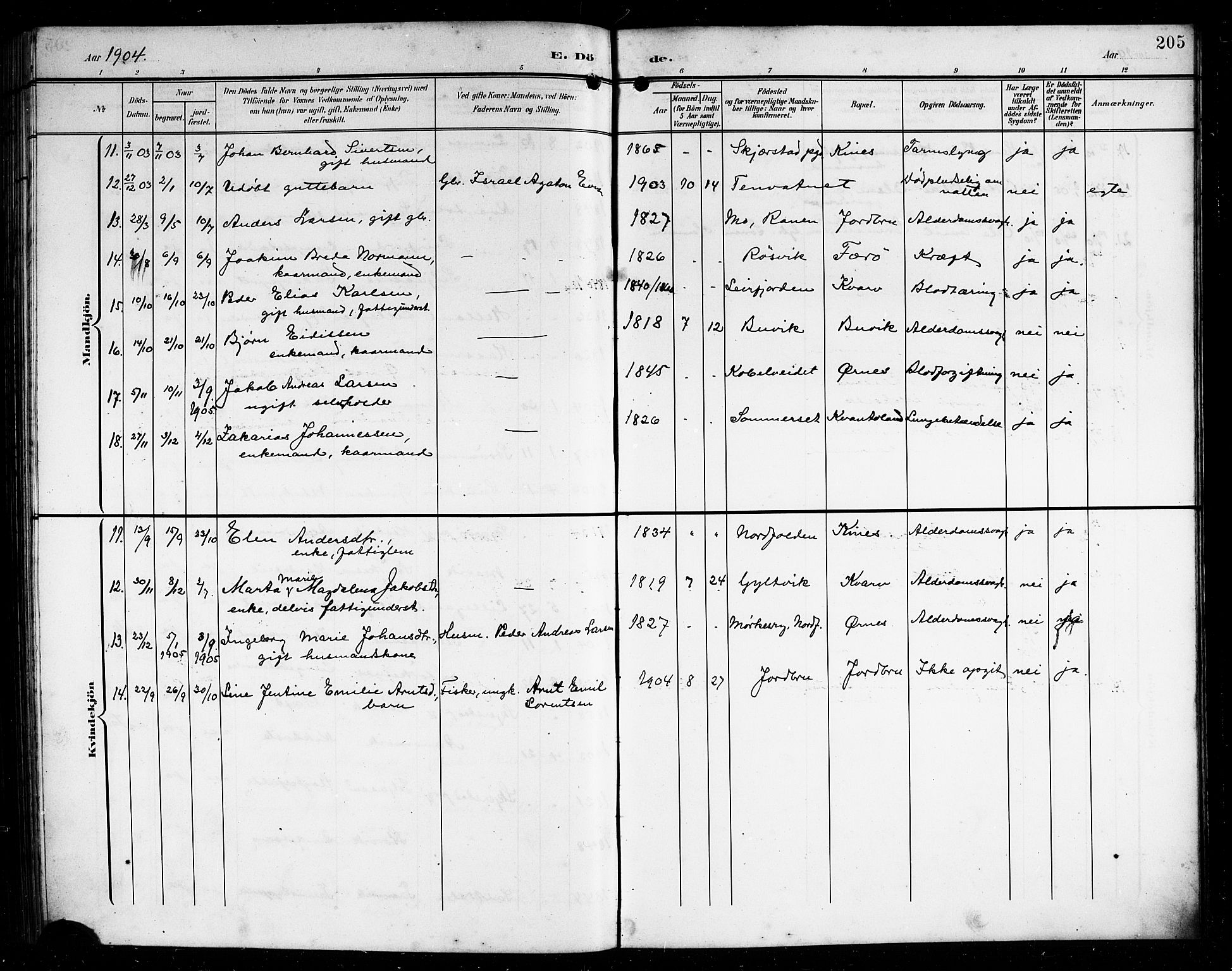 Ministerialprotokoller, klokkerbøker og fødselsregistre - Nordland, SAT/A-1459/854/L0786: Parish register (copy) no. 854C02, 1901-1912, p. 205