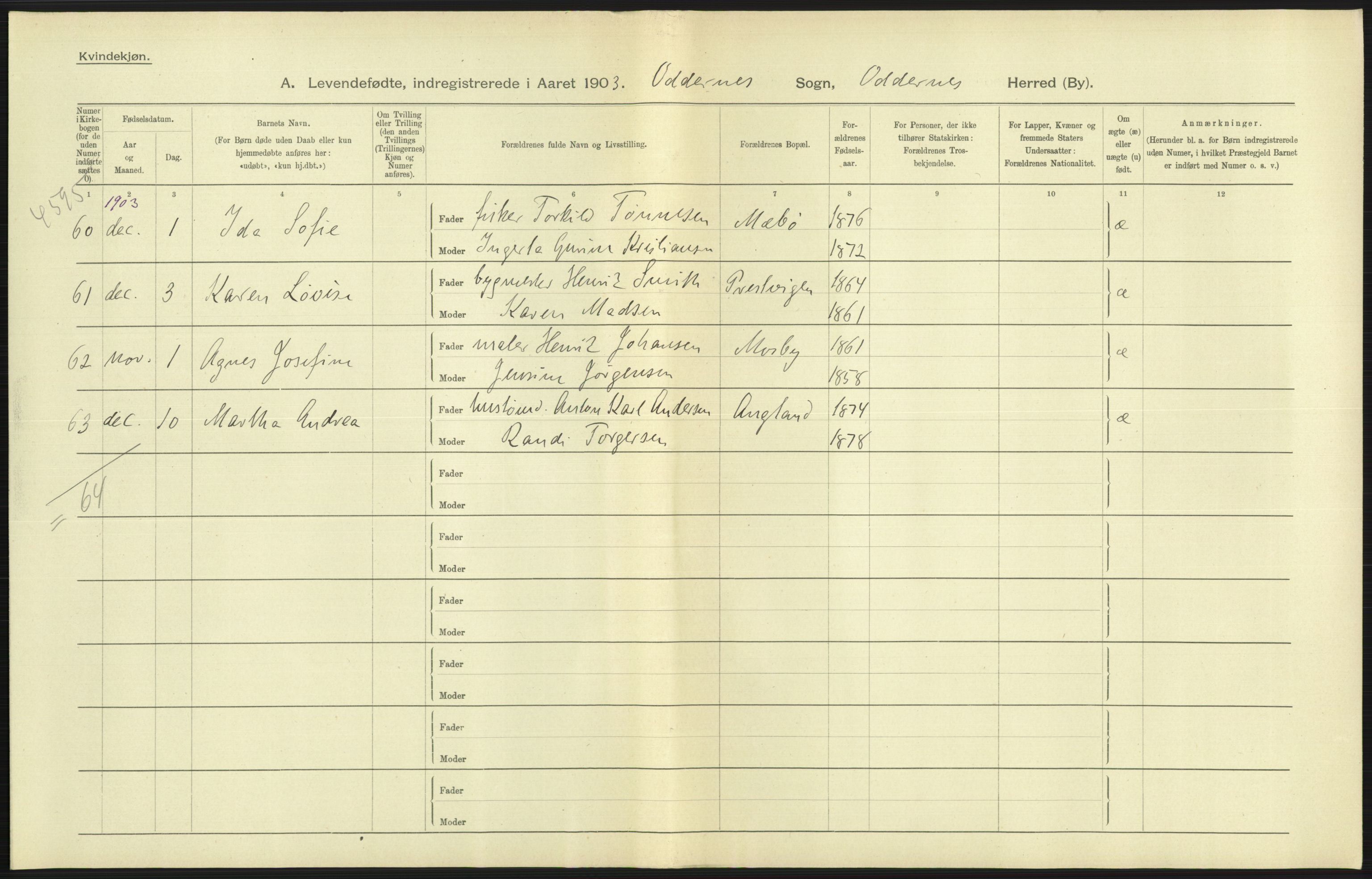 Statistisk sentralbyrå, Sosiodemografiske emner, Befolkning, AV/RA-S-2228/D/Df/Dfa/Dfaa/L0011: Lister og Mandal amt: Fødte, gifte, døde, 1903, p. 181