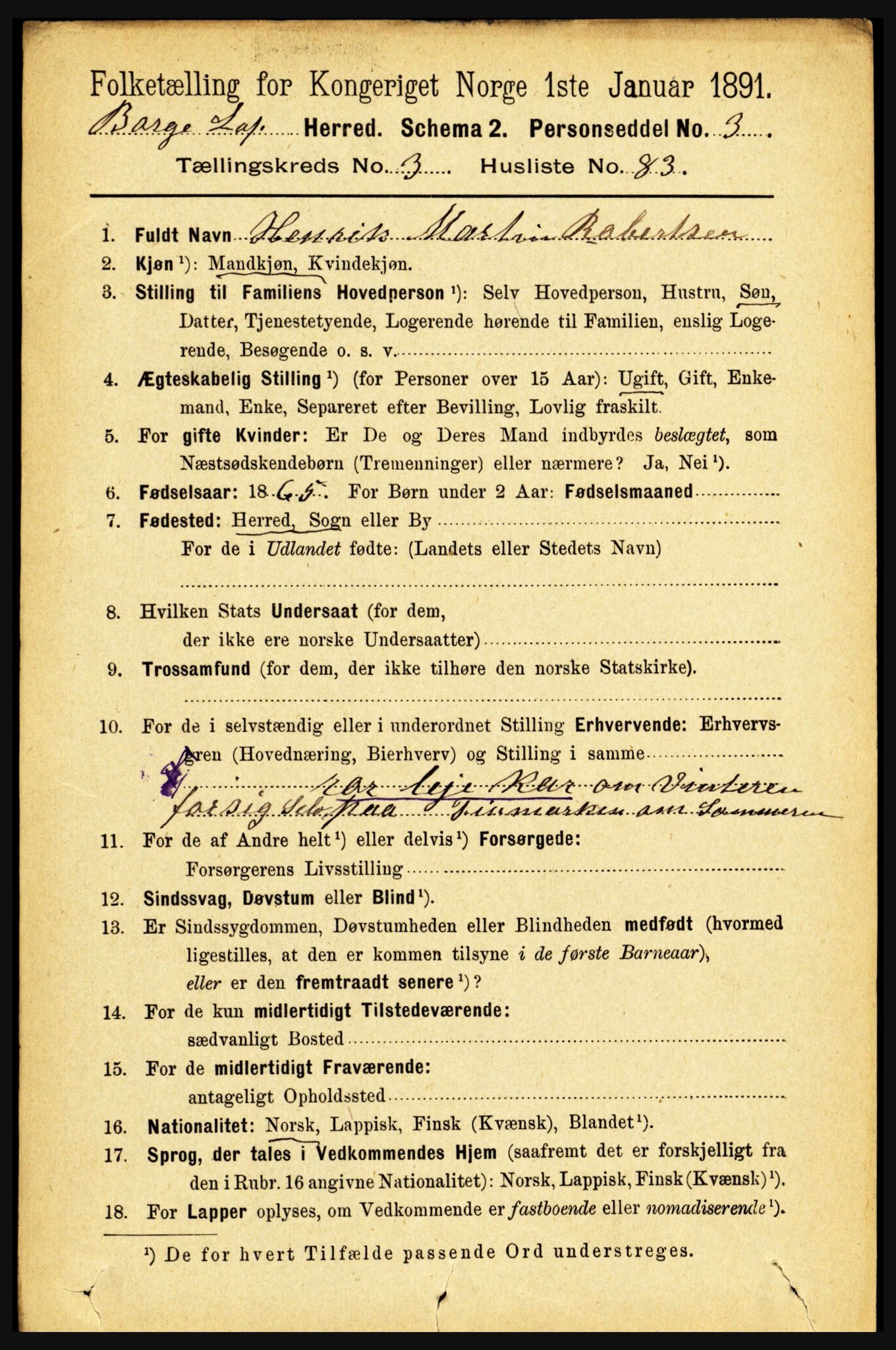 RA, 1891 census for 1862 Borge, 1891, p. 2033