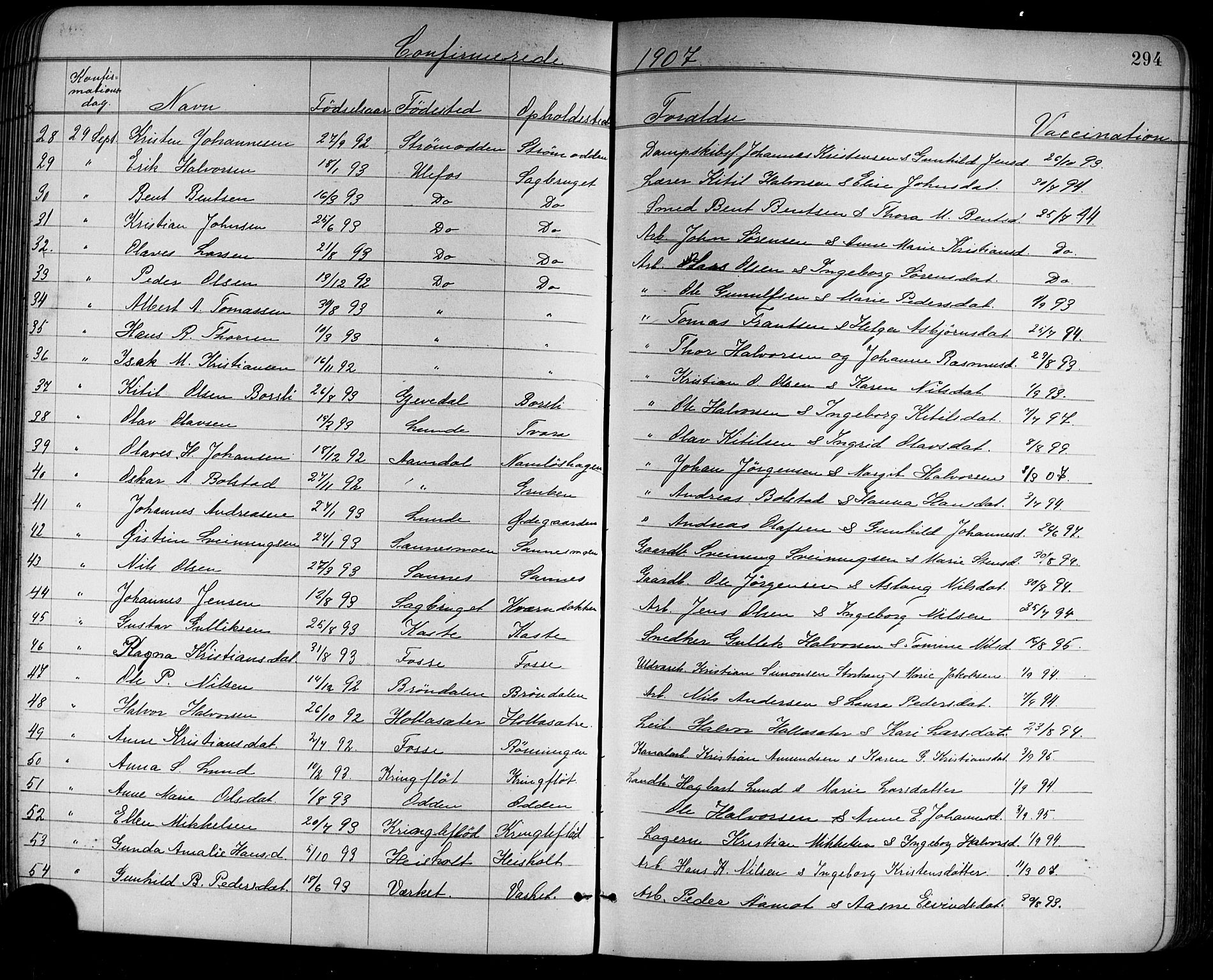 Holla kirkebøker, SAKO/A-272/G/Ga/L0005: Parish register (copy) no. I 5, 1891-1917, p. 294