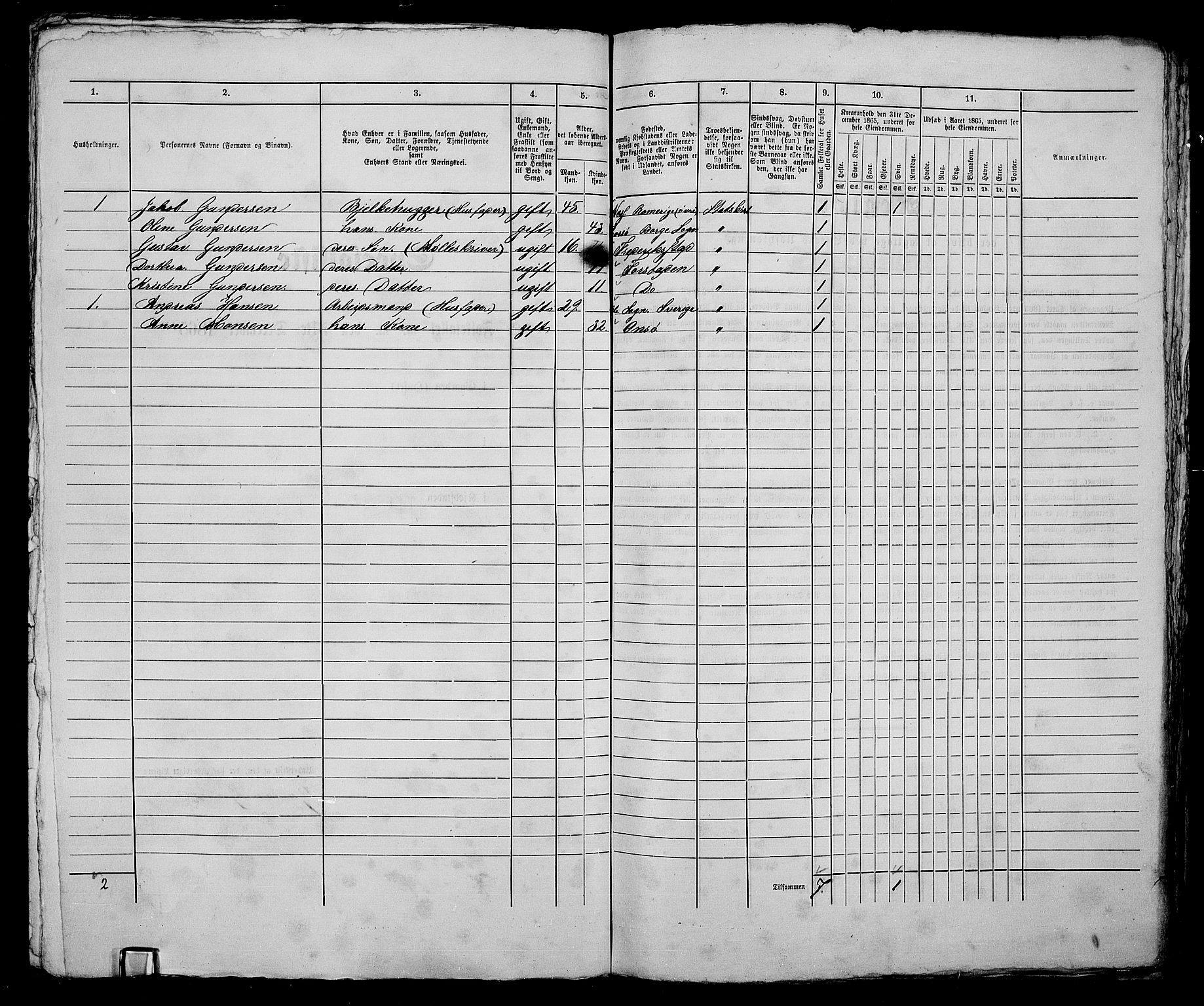 RA, 1865 census for Fredrikstad/Fredrikstad, 1865, p. 306