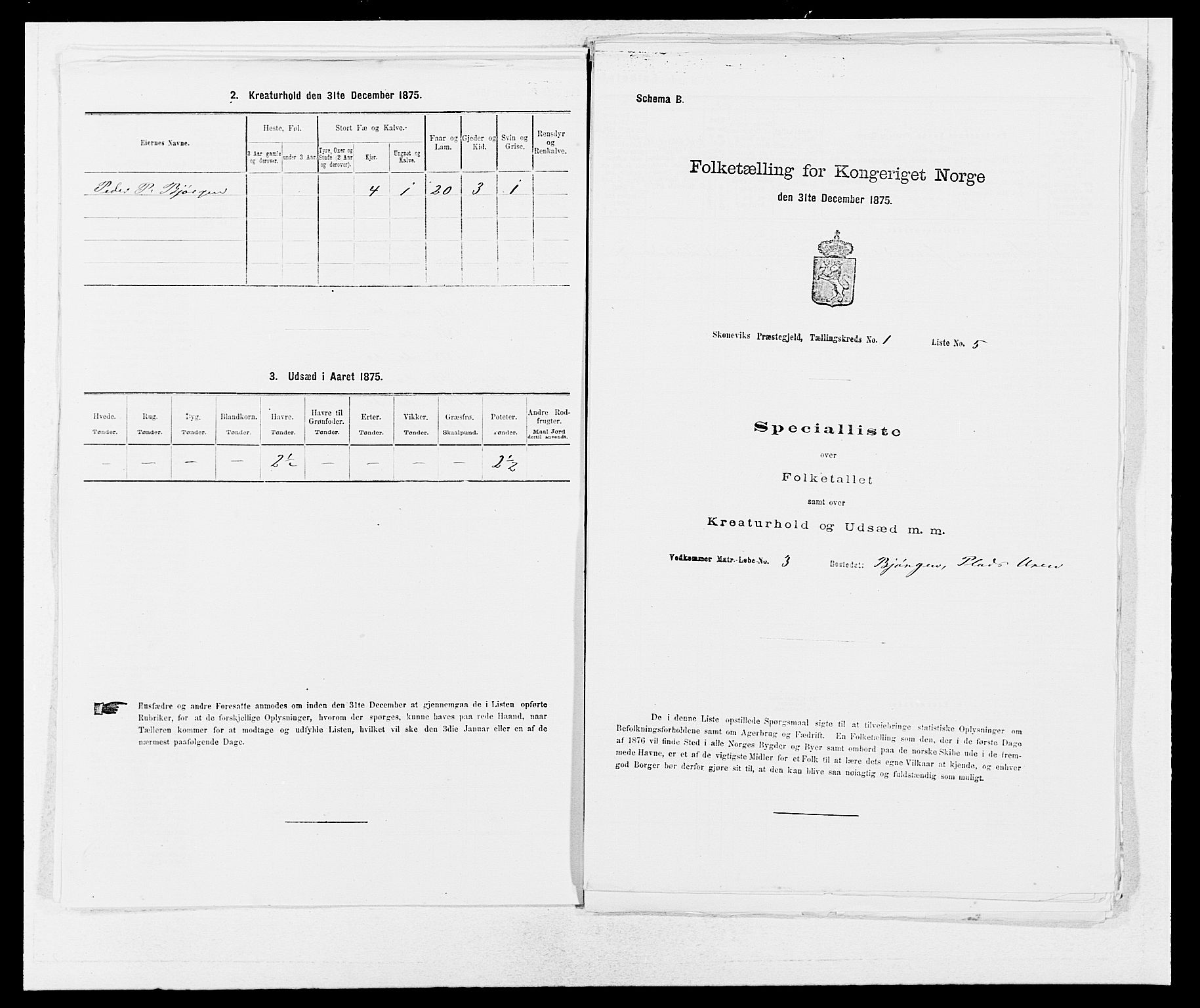 SAB, 1875 census for 1212P Skånevik, 1875, p. 33