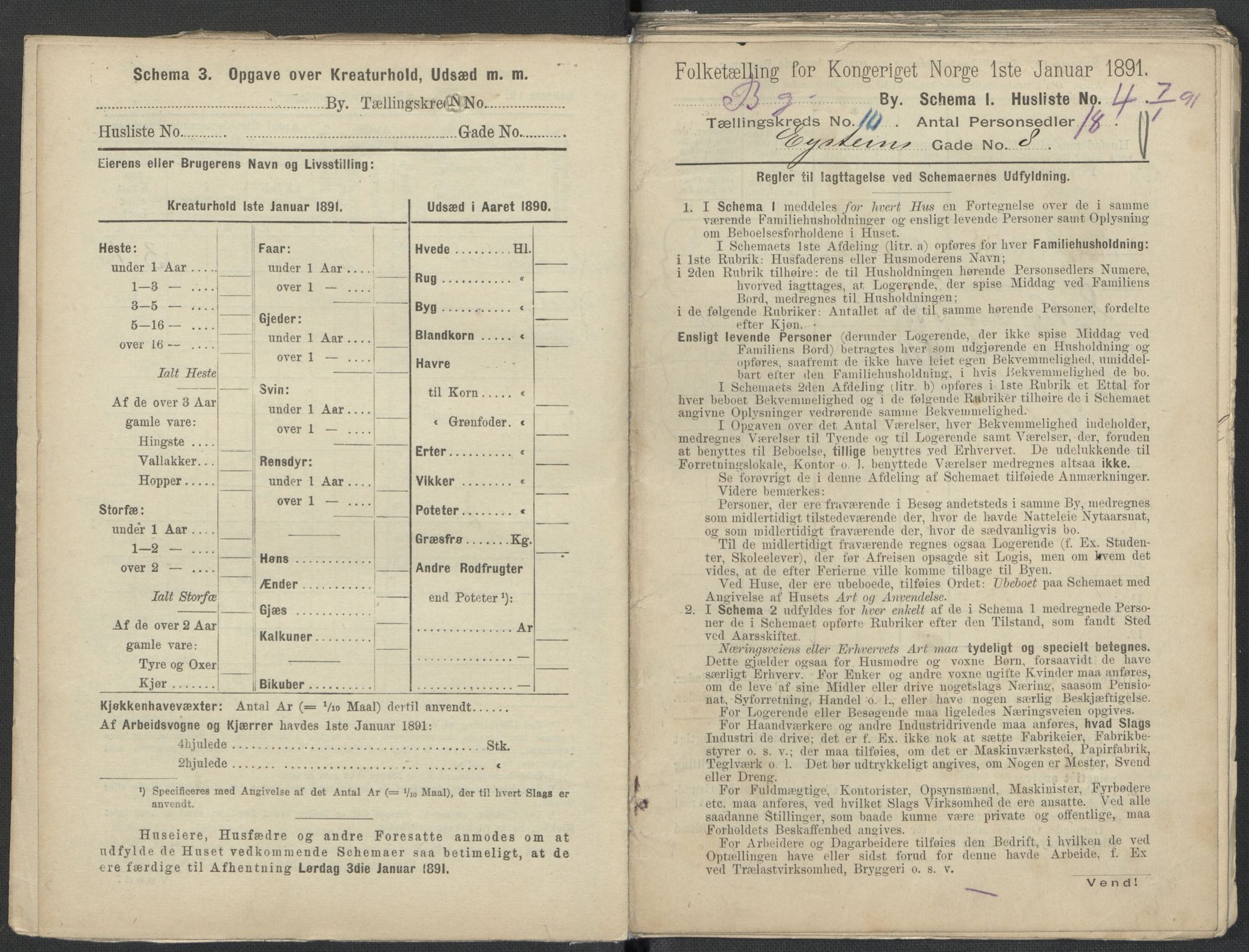 RA, 1891 Census for 1301 Bergen, 1891, p. 1602