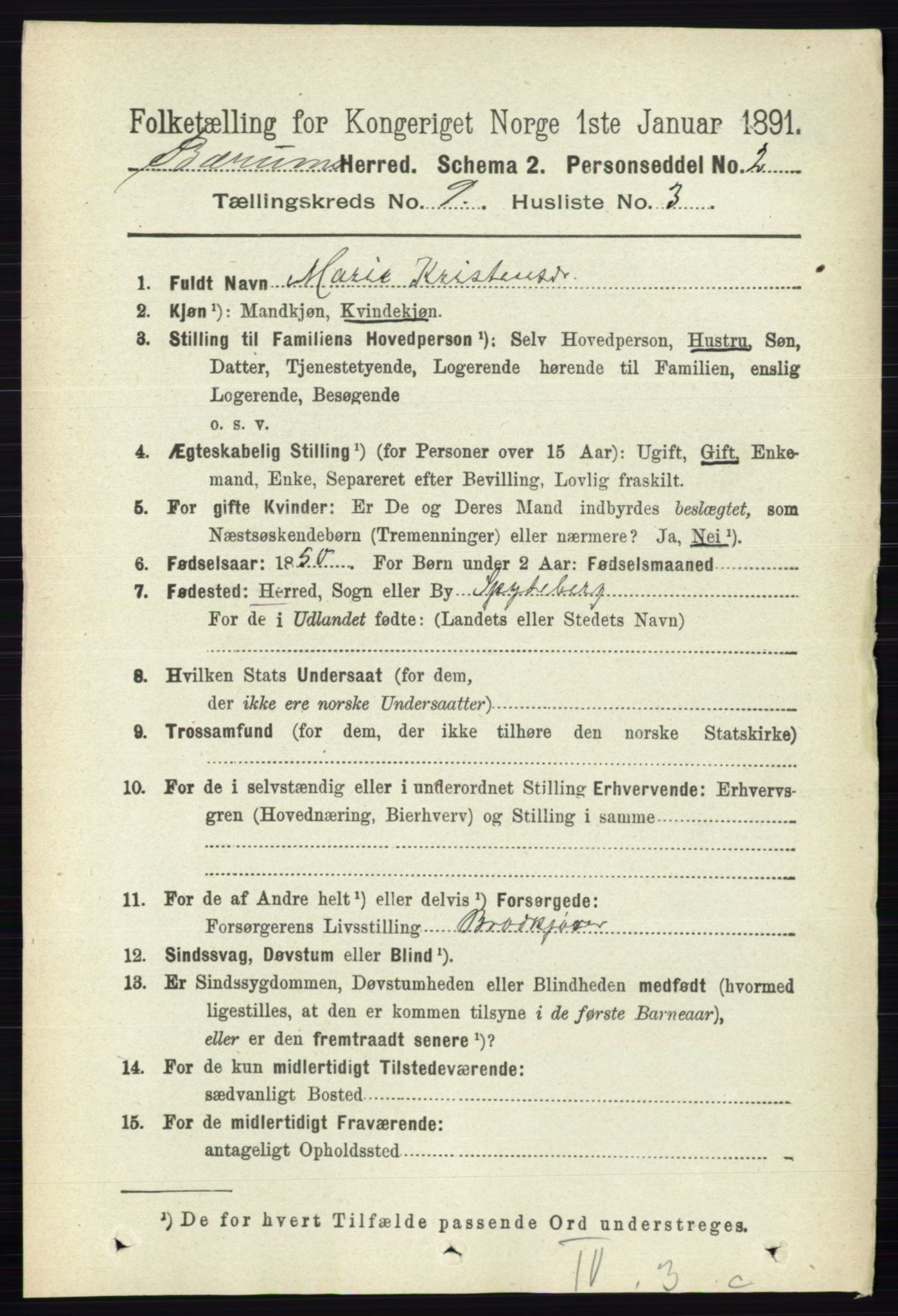 RA, 1891 census for 0219 Bærum, 1891, p. 5146