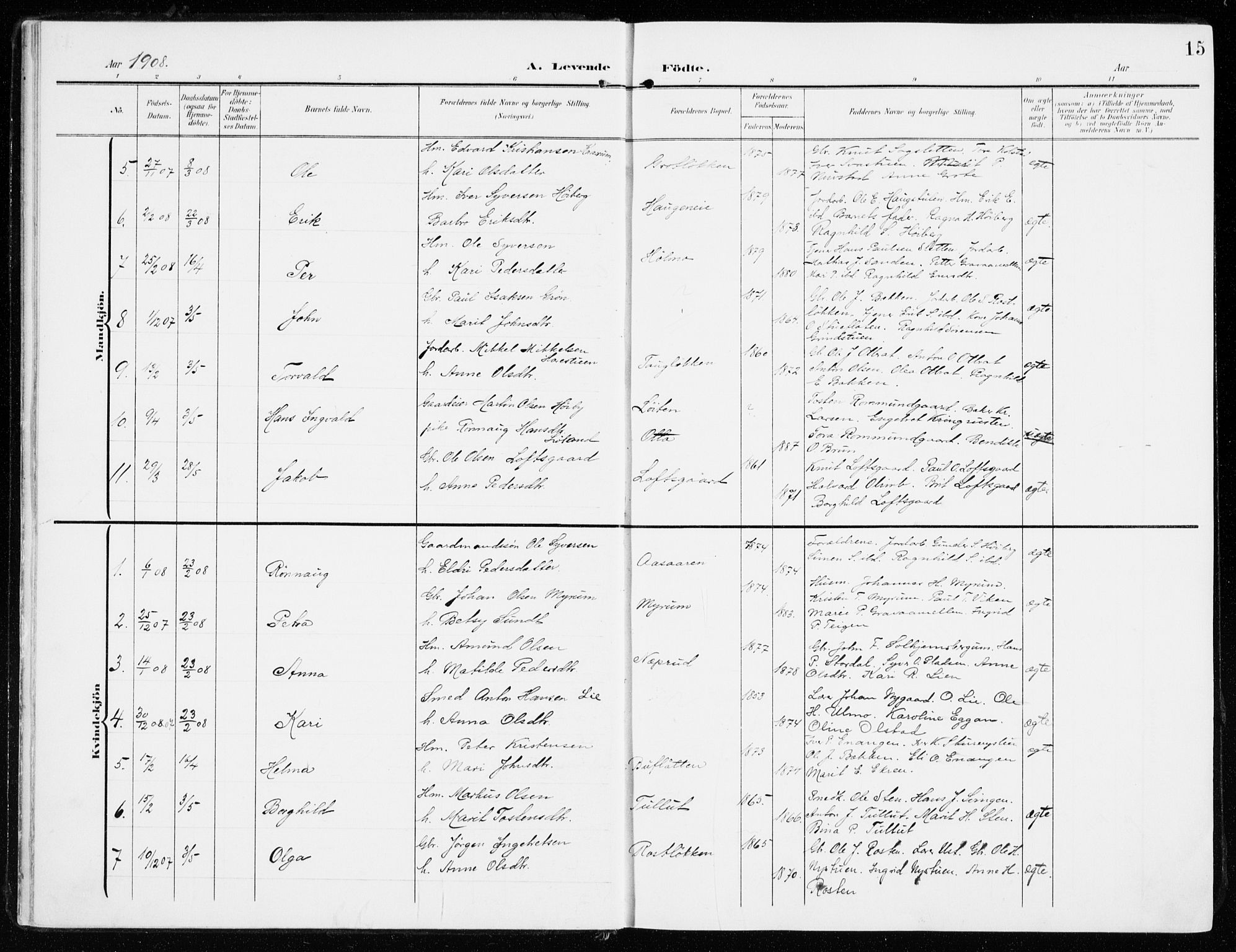 Sel prestekontor, AV/SAH-PREST-074/H/Ha/Haa/L0002: Parish register (official) no. 2, 1905-1919, p. 15