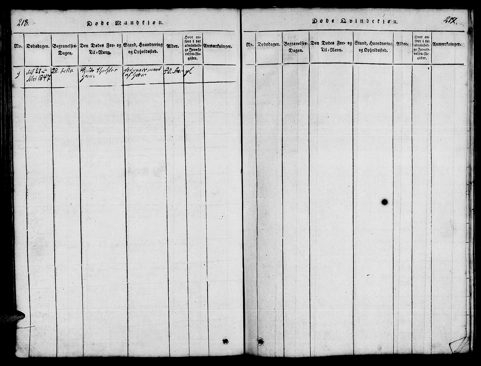 Ministerialprotokoller, klokkerbøker og fødselsregistre - Møre og Romsdal, SAT/A-1454/541/L0546: Parish register (copy) no. 541C01, 1818-1856, p. 218-219