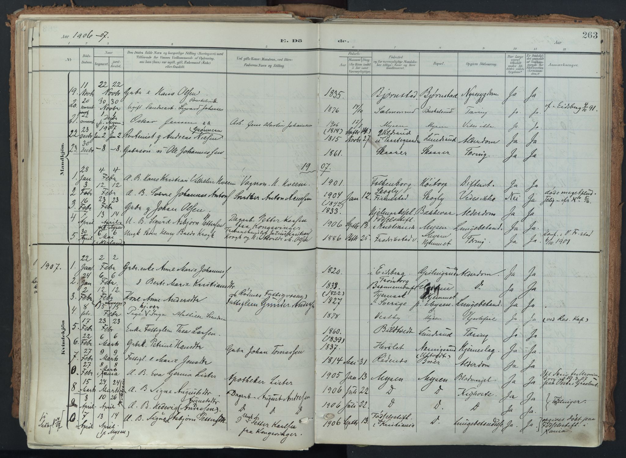 Eidsberg prestekontor Kirkebøker, SAO/A-10905/F/Fa/L0014: Parish register (official) no. I 14, 1902-1919, p. 263