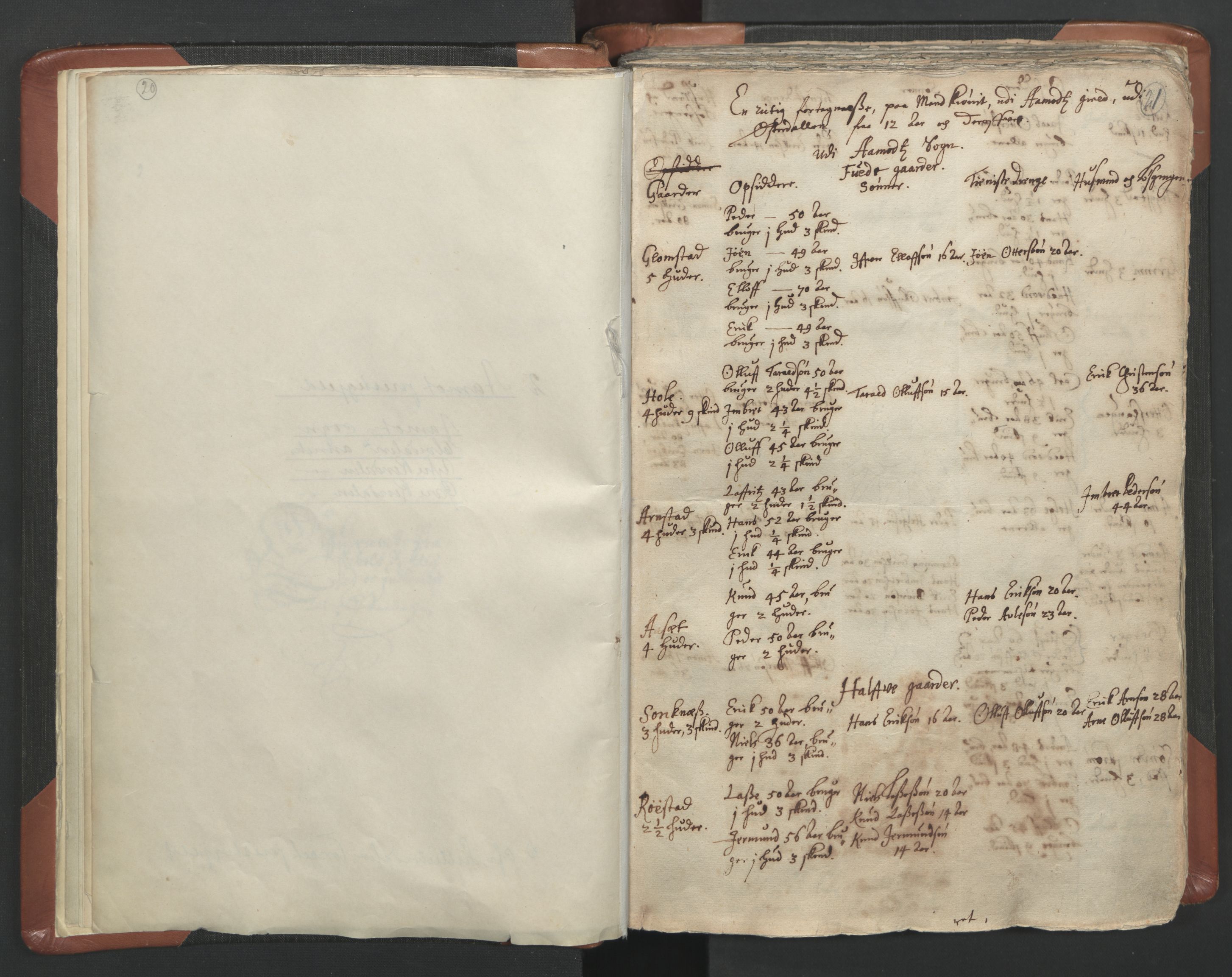 RA, Vicar's Census 1664-1666, no. 5: Hedmark deanery, 1664-1666, p. 20-21