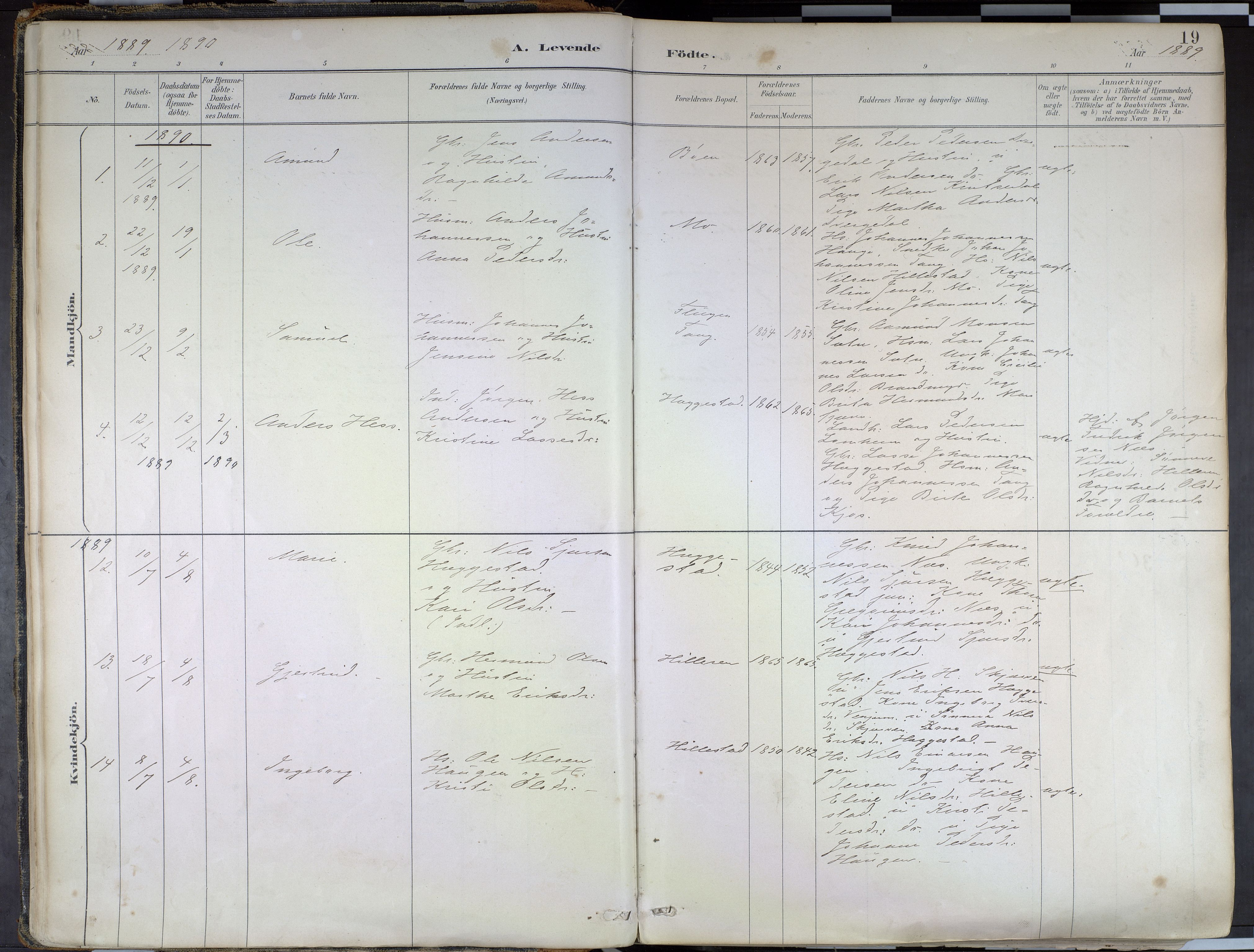 Hafslo sokneprestembete, SAB/A-80301/H/Haa/Haab/L0001: Parish register (official) no. B 1, 1886-1945, p. 19