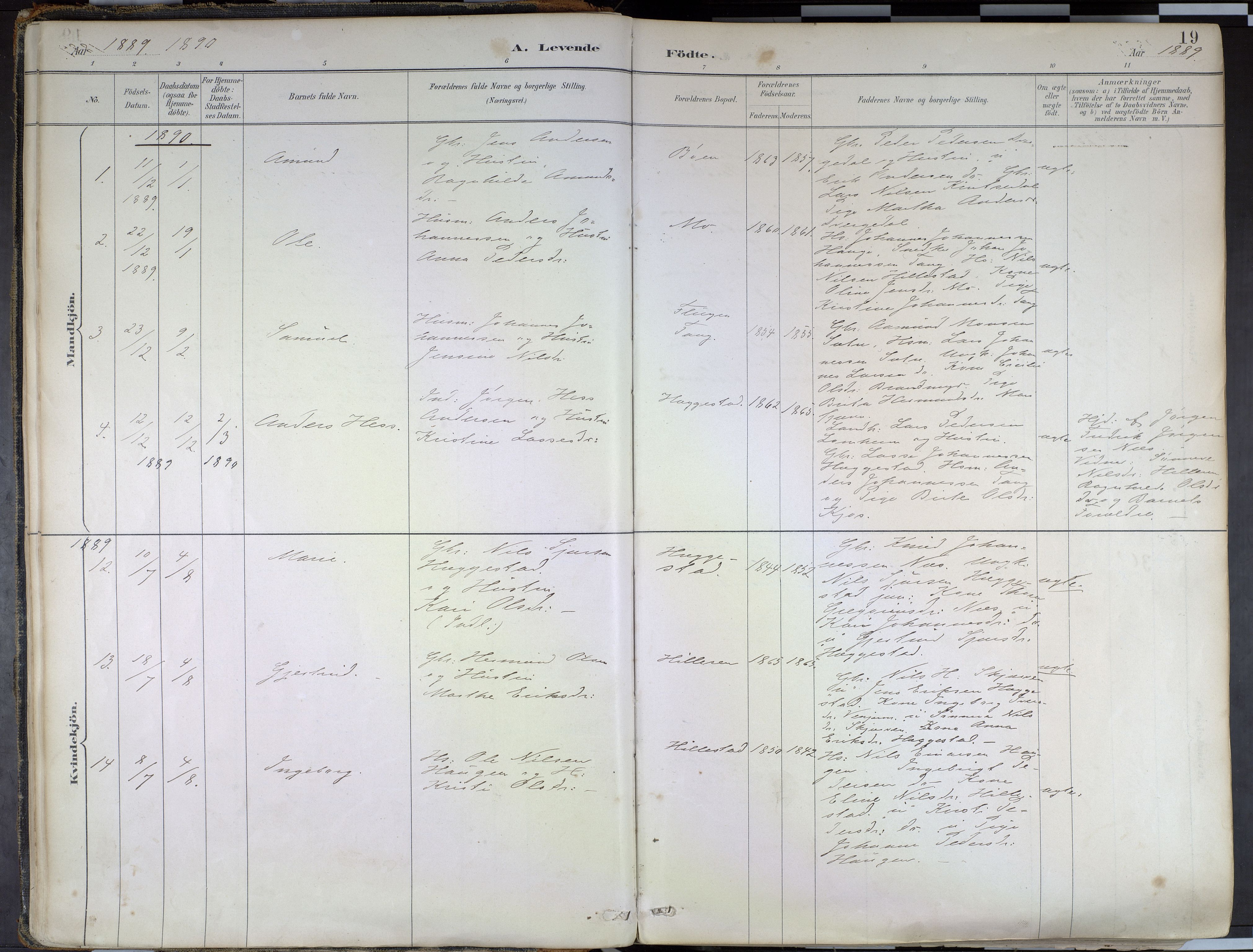 Hafslo sokneprestembete, AV/SAB-A-80301/H/Haa/Haab/L0001: Parish register (official) no. B 1, 1886-1945, p. 19