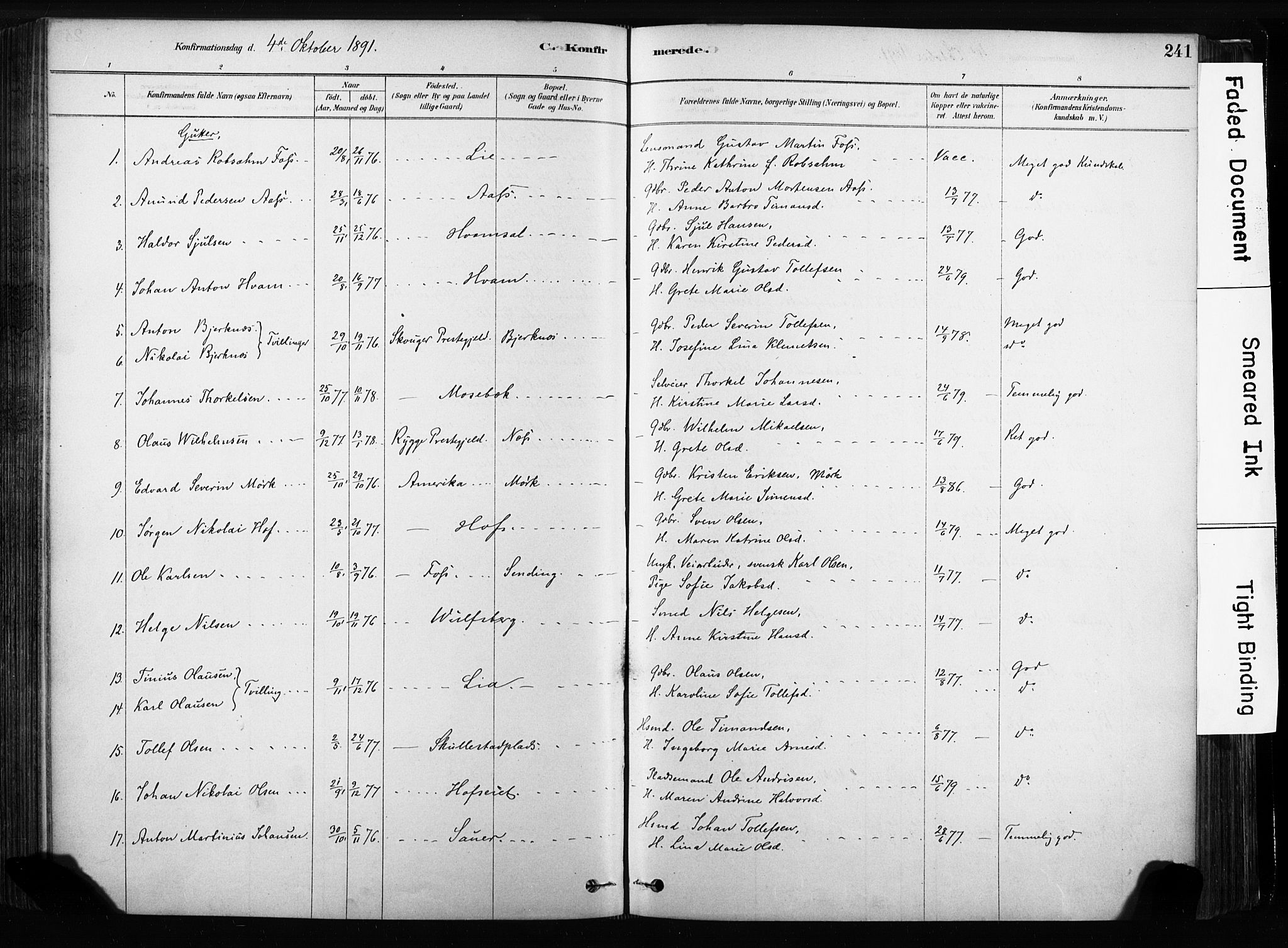 Sandsvær kirkebøker, AV/SAKO-A-244/F/Fb/L0001: Parish register (official) no. II 1, 1878-1906, p. 241