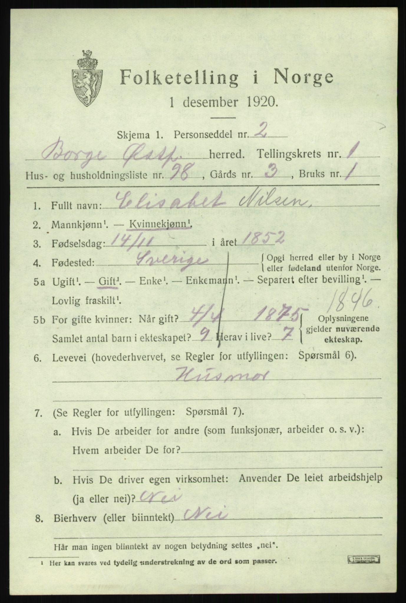 SAO, 1920 census for Borge, 1920, p. 3007